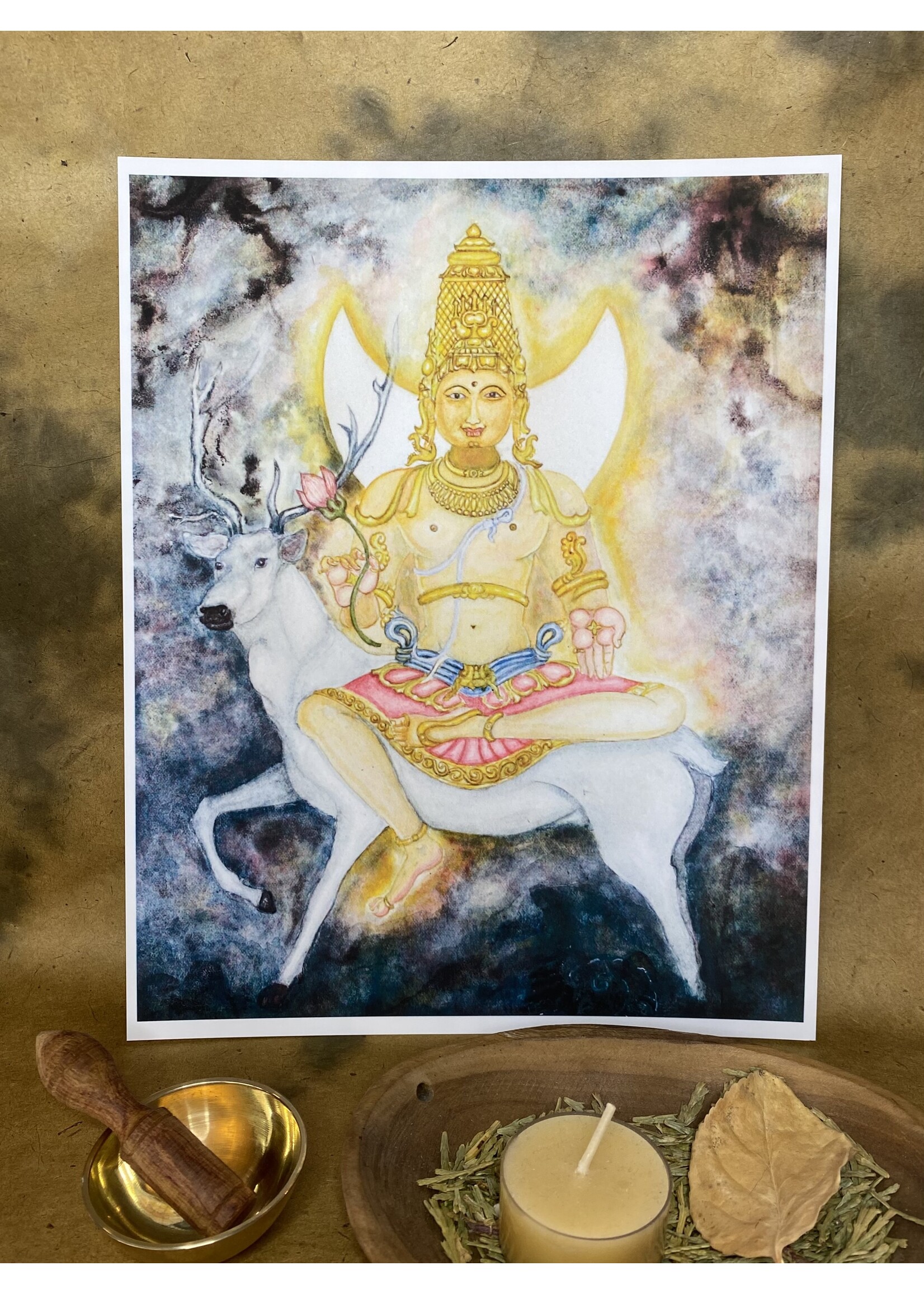 My Muses Card Shop My Muses Card Shop Chandra art print 8x10