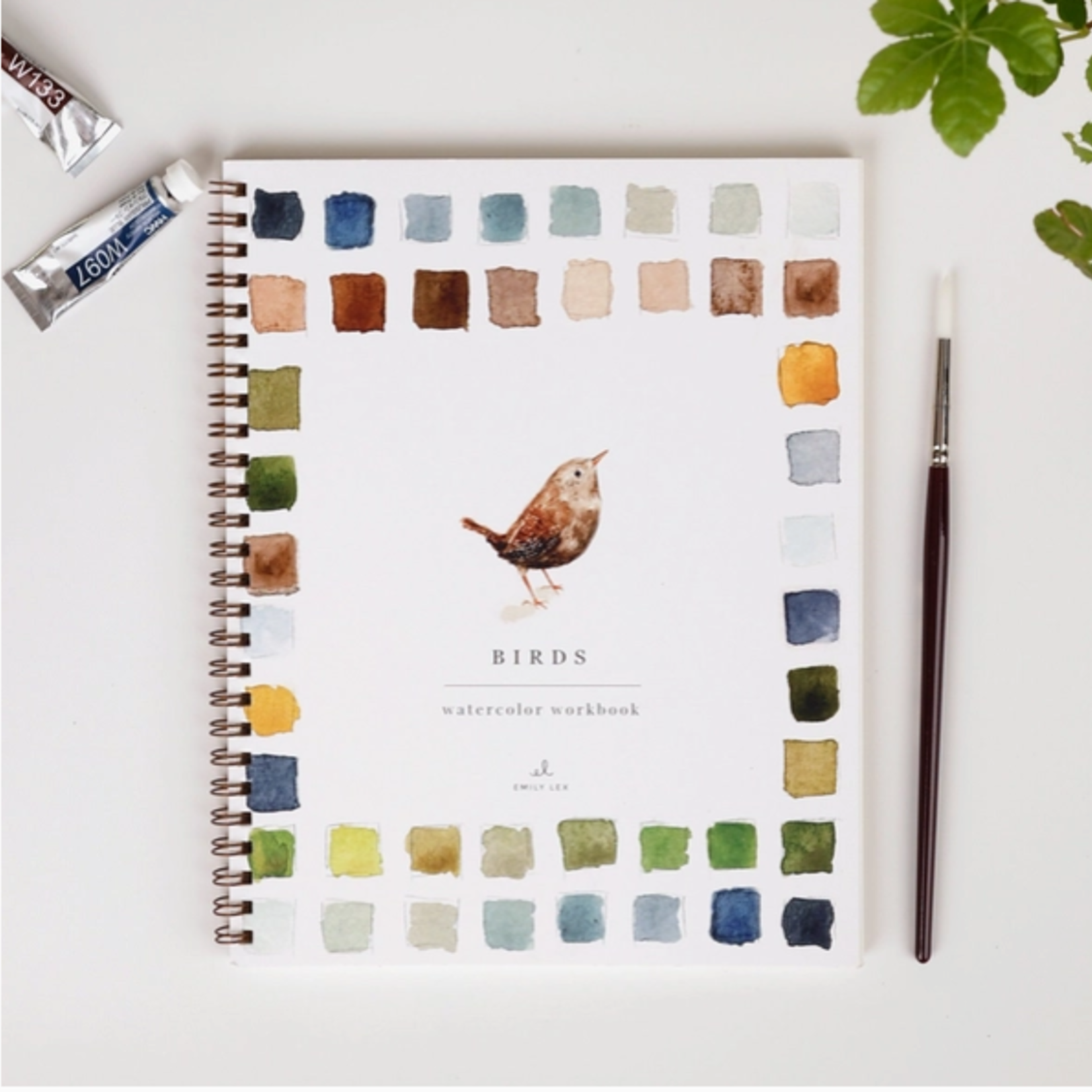 Emily lex studio Emily lex studio birds watercolor workbook