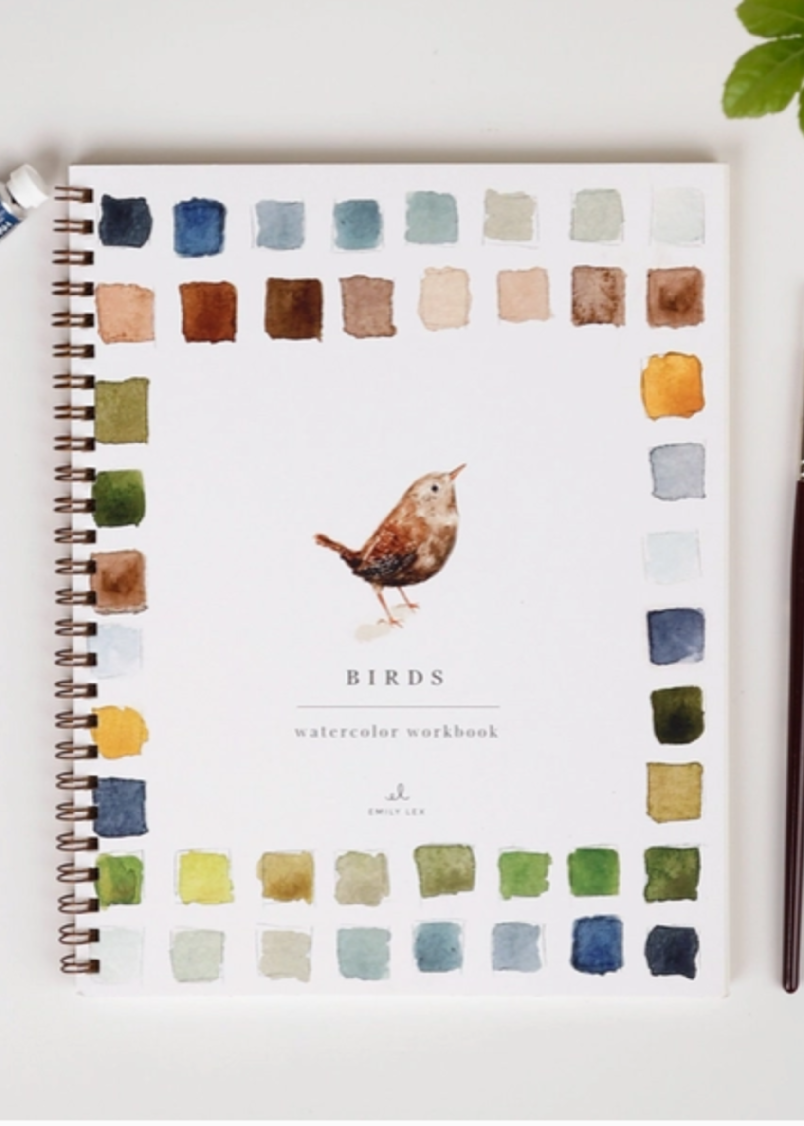 Emily lex studio Emily lex studio birds watercolor workbook
