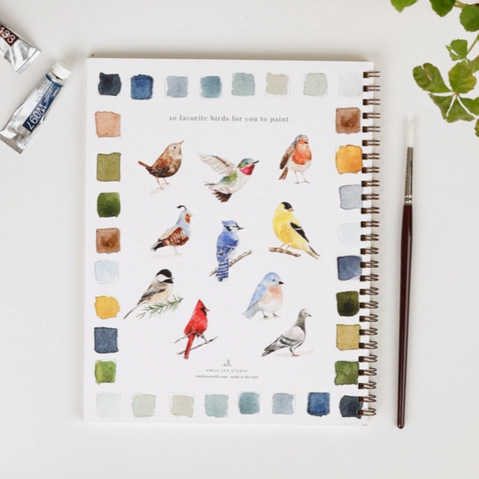 Emily lex studio Emily lex studio birds watercolor workbook