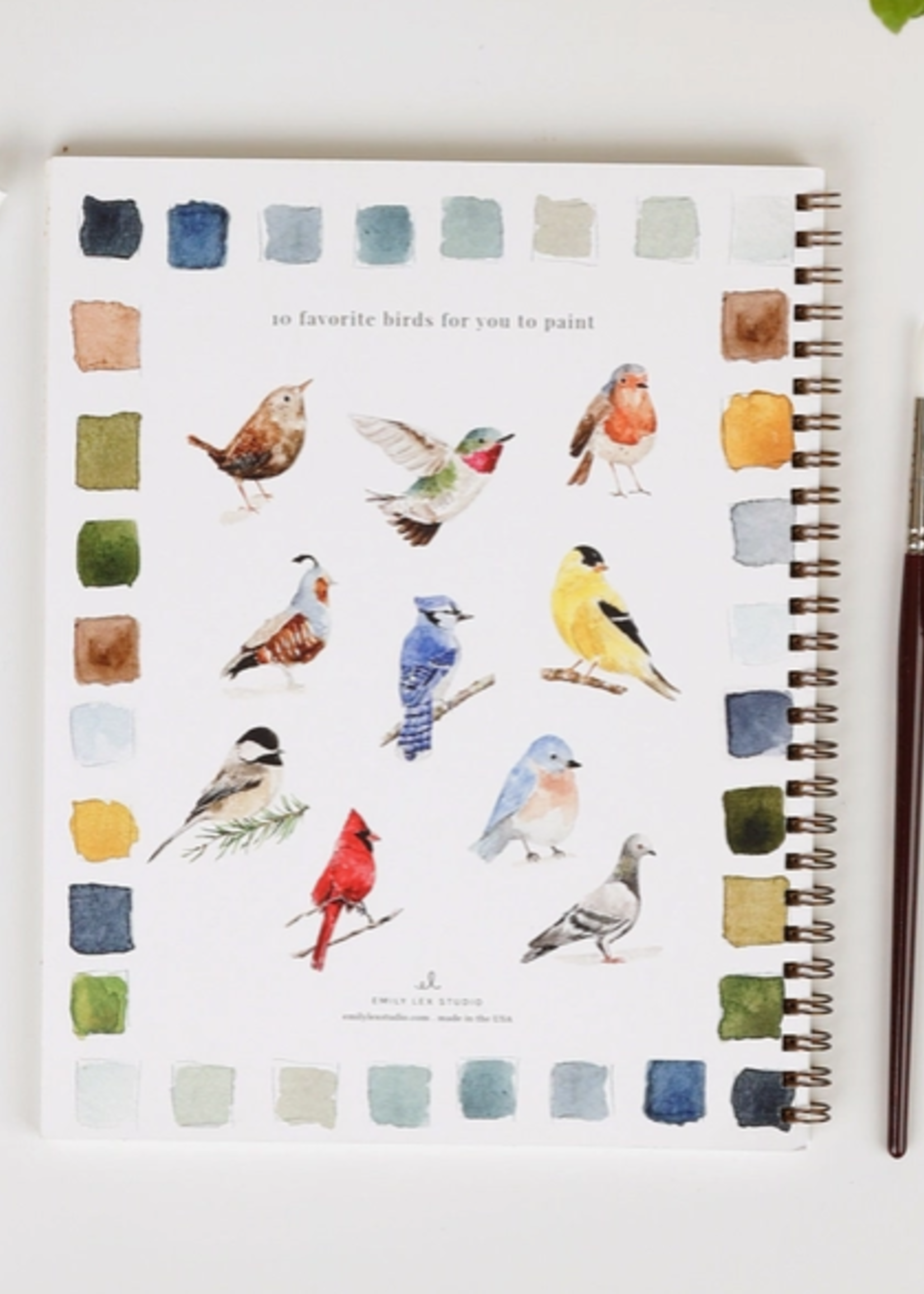 Emily lex studio Emily lex studio birds watercolor workbook