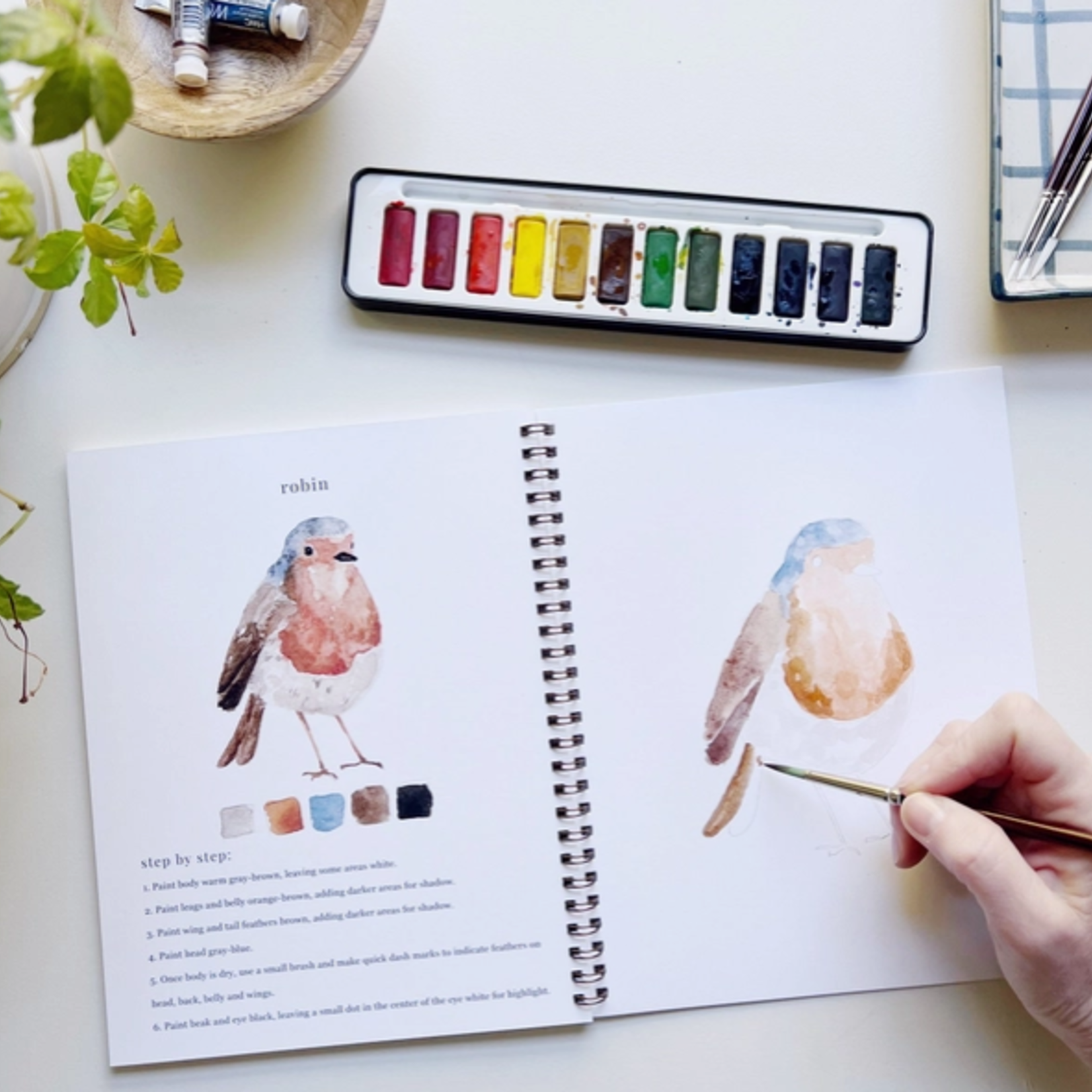 Emily lex studio Emily lex studio birds watercolor workbook