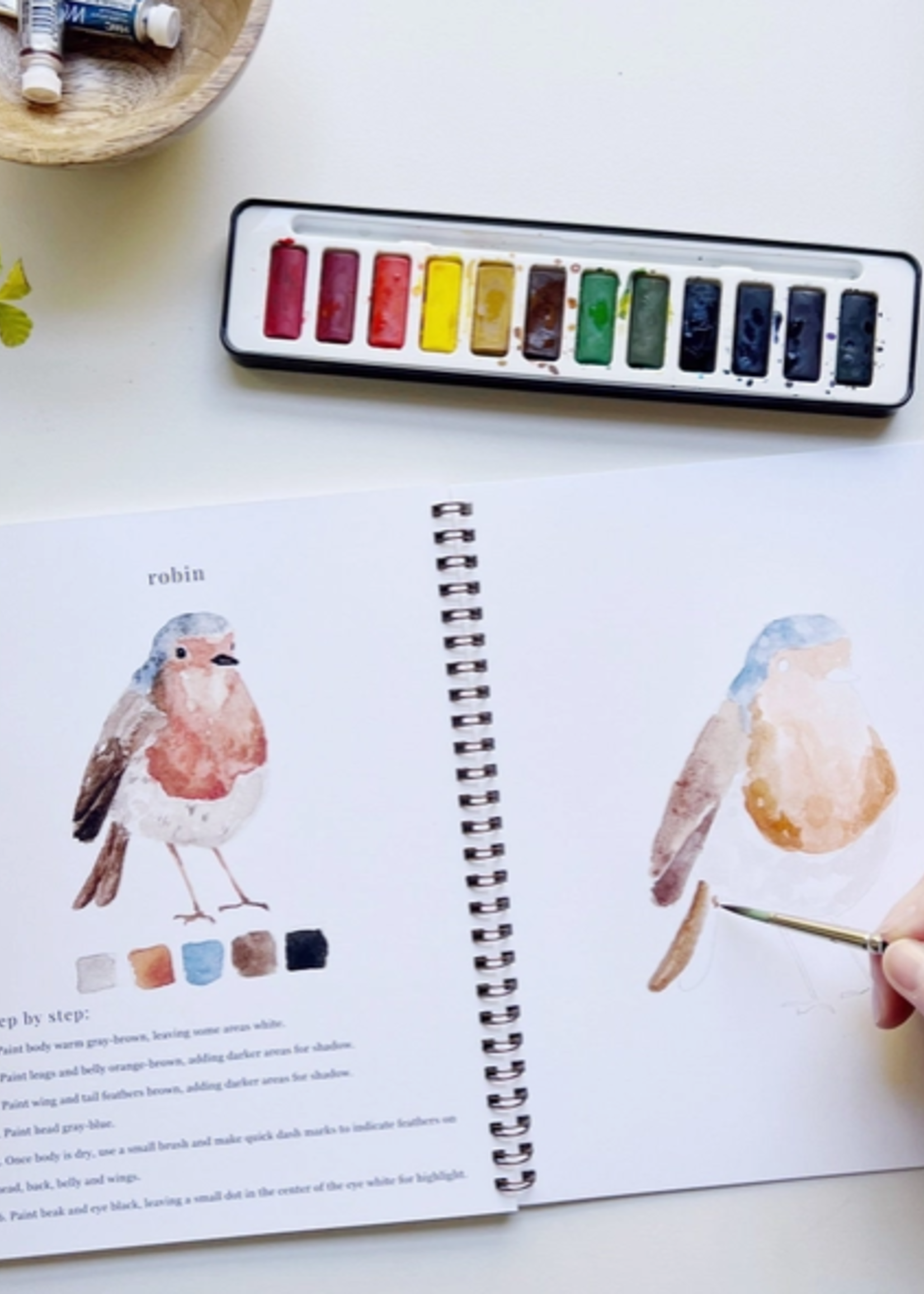 Emily lex studio Emily lex studio birds watercolor workbook