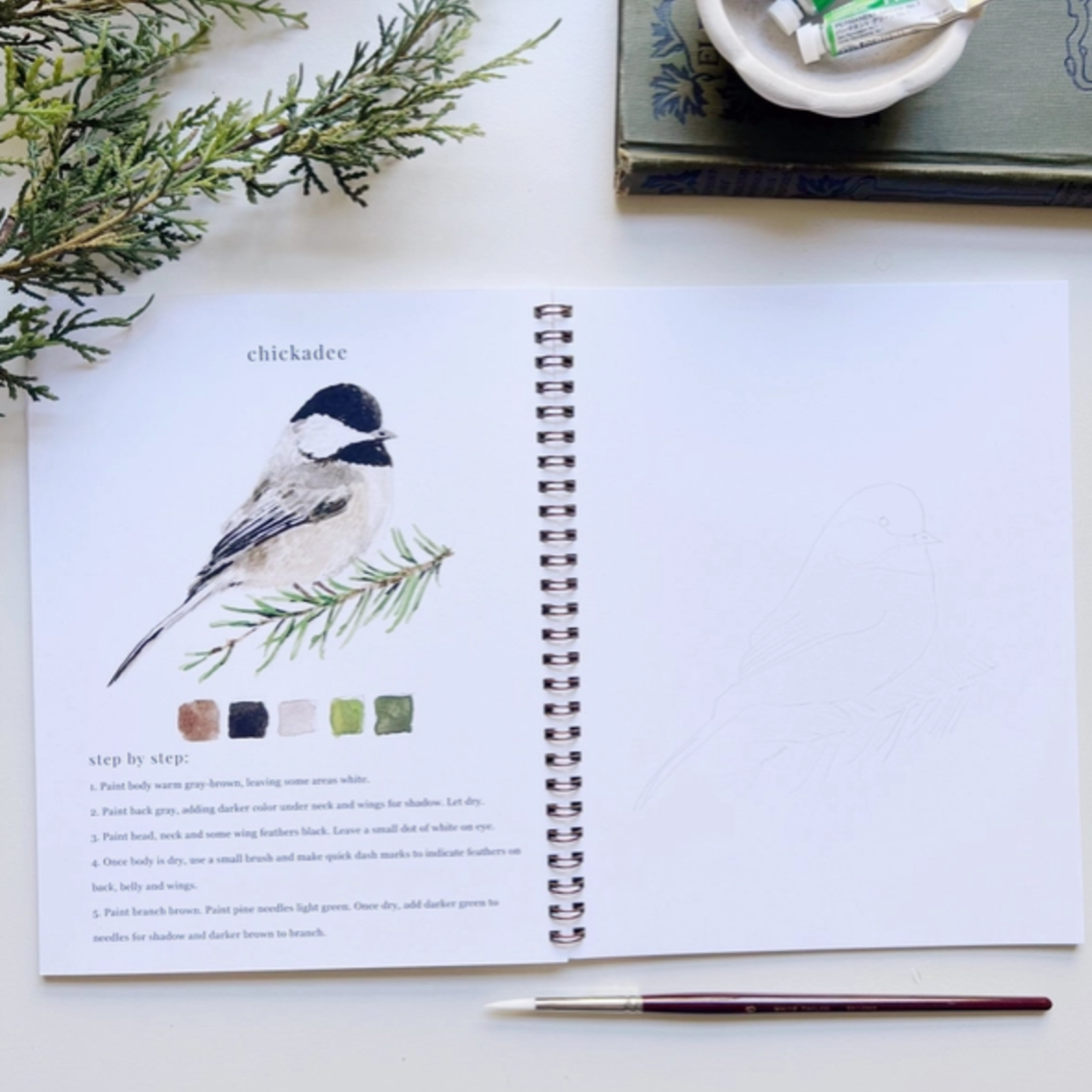 Emily lex studio Emily lex studio birds watercolor workbook