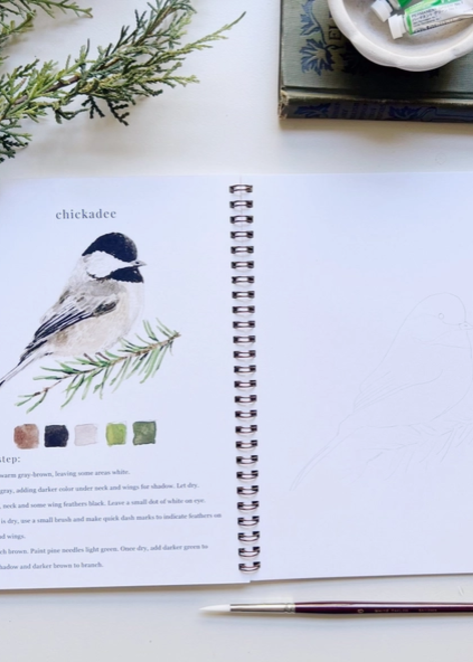 Emily lex studio Emily lex studio birds watercolor workbook