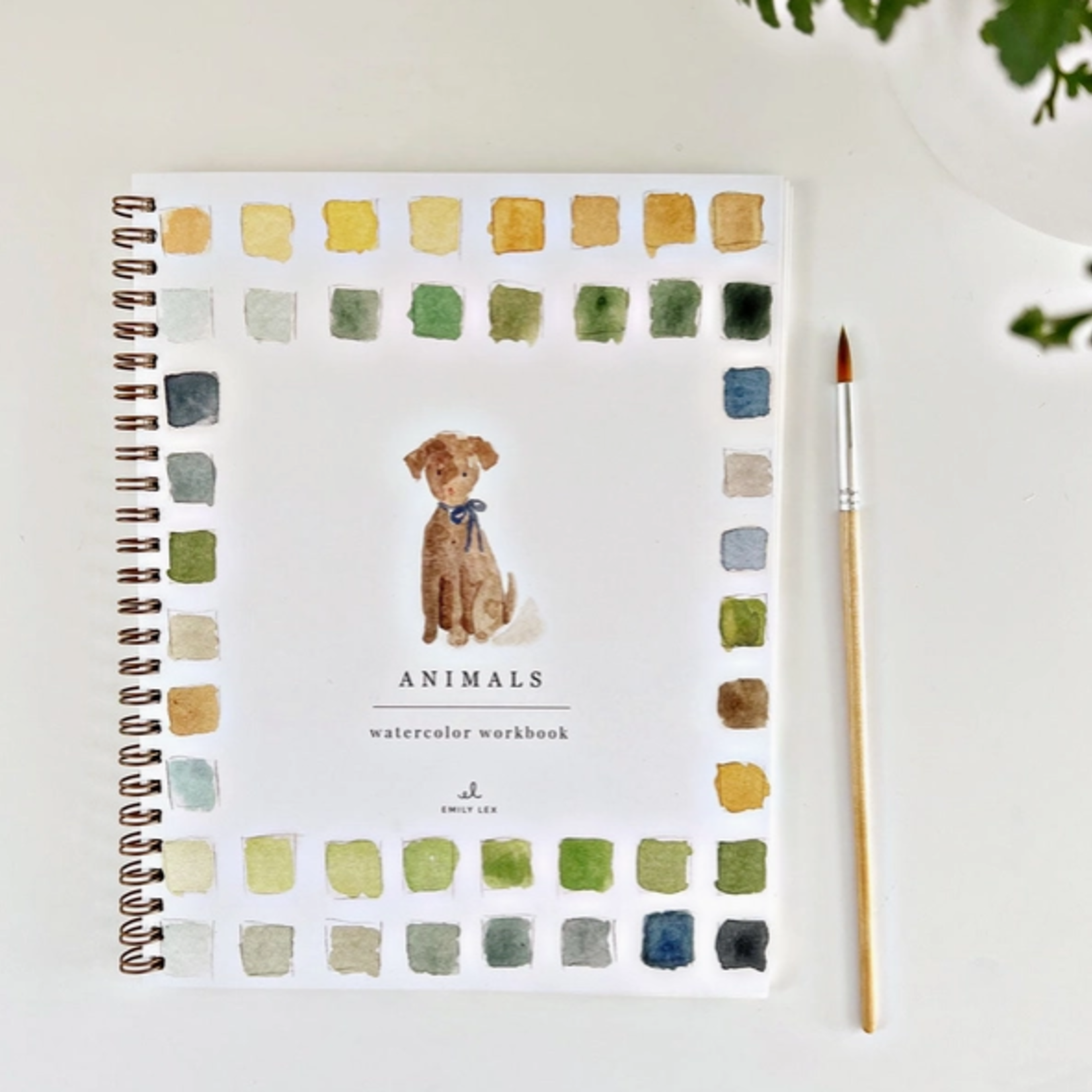 Emily lex studio Emily Lex Studio Animals Watercolor Workbook
