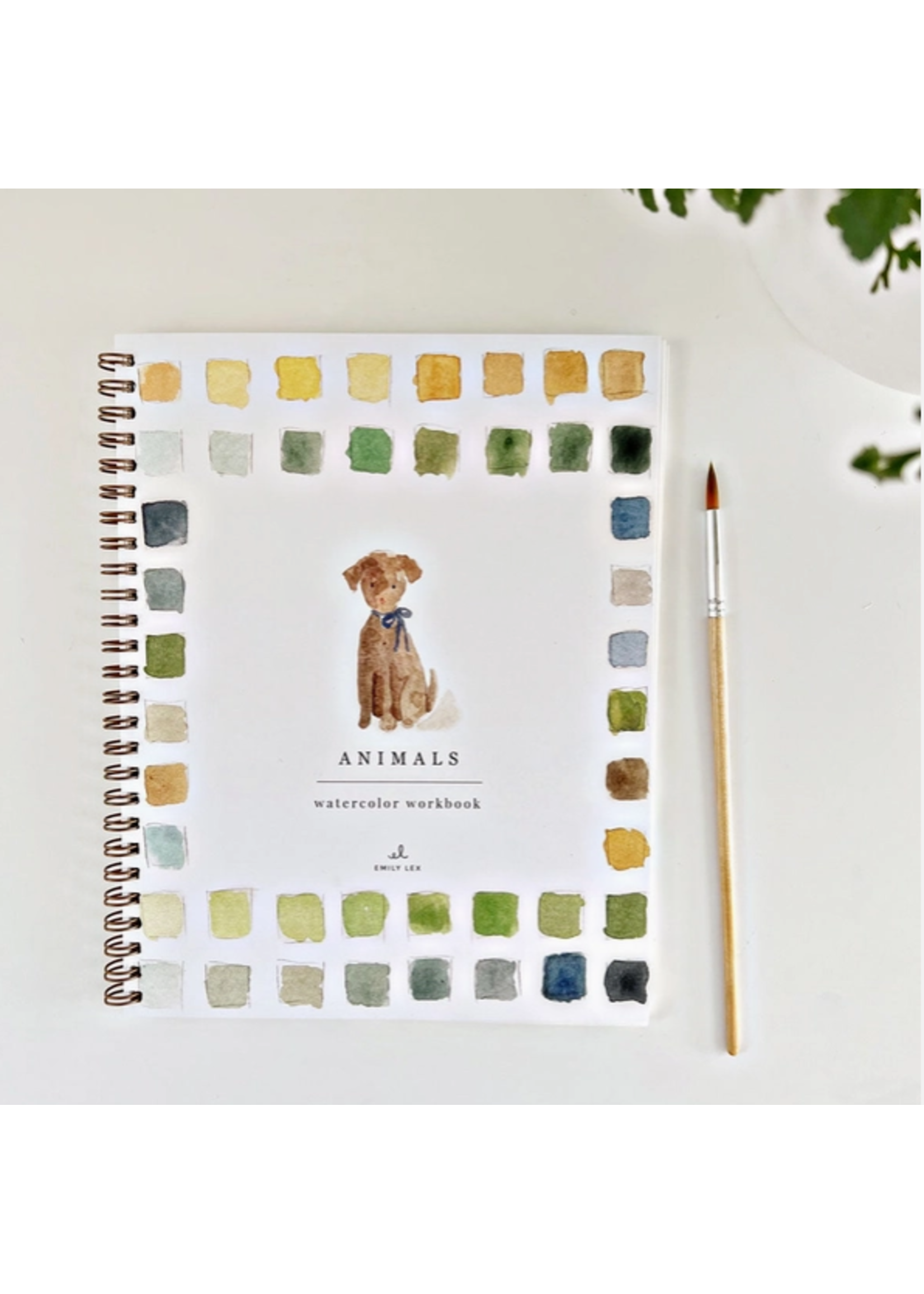 Emily lex studio Emily Lex Studio Animals Watercolor Workbook