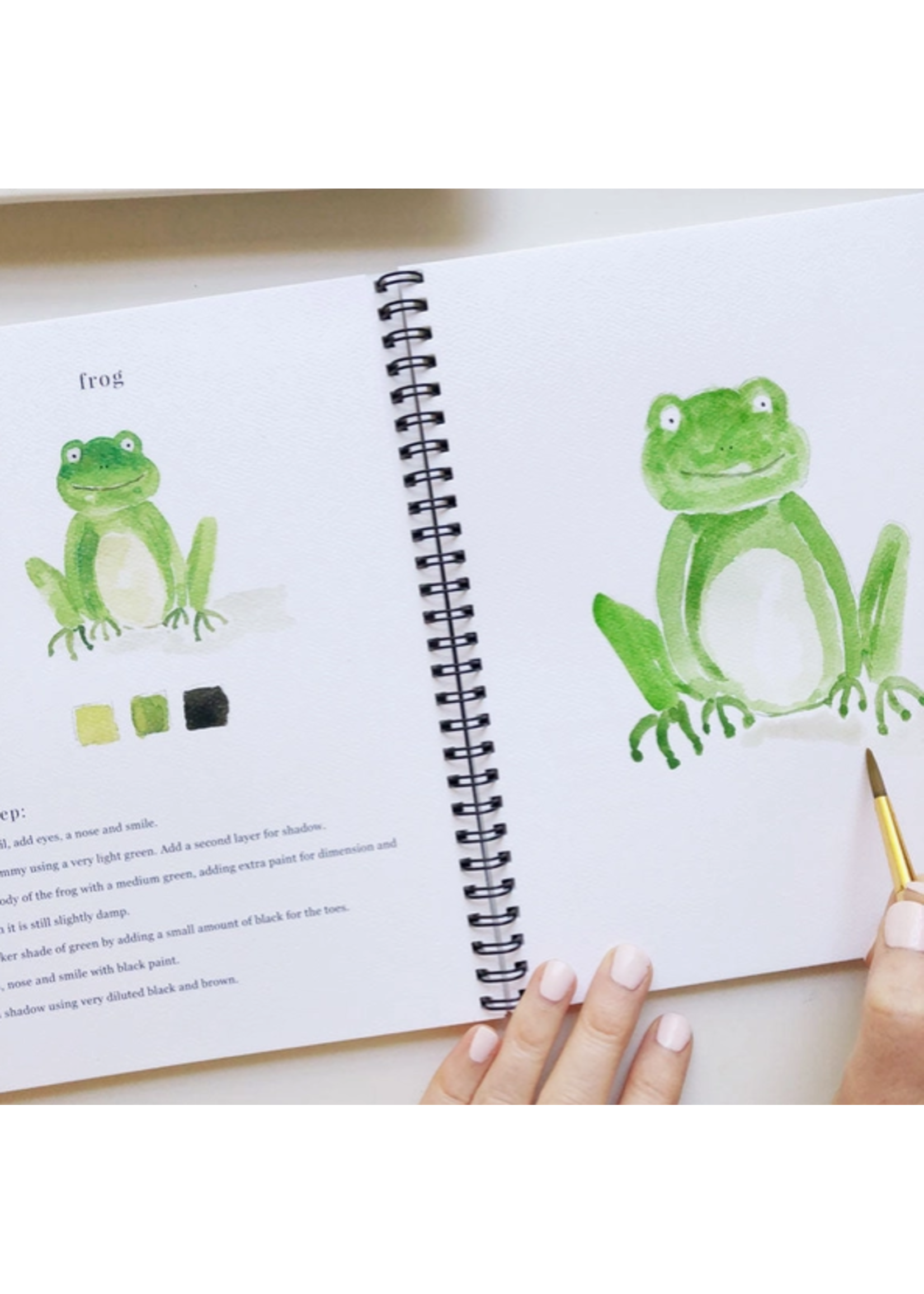 Emily lex studio Emily Lex Studio Animals Watercolor Workbook