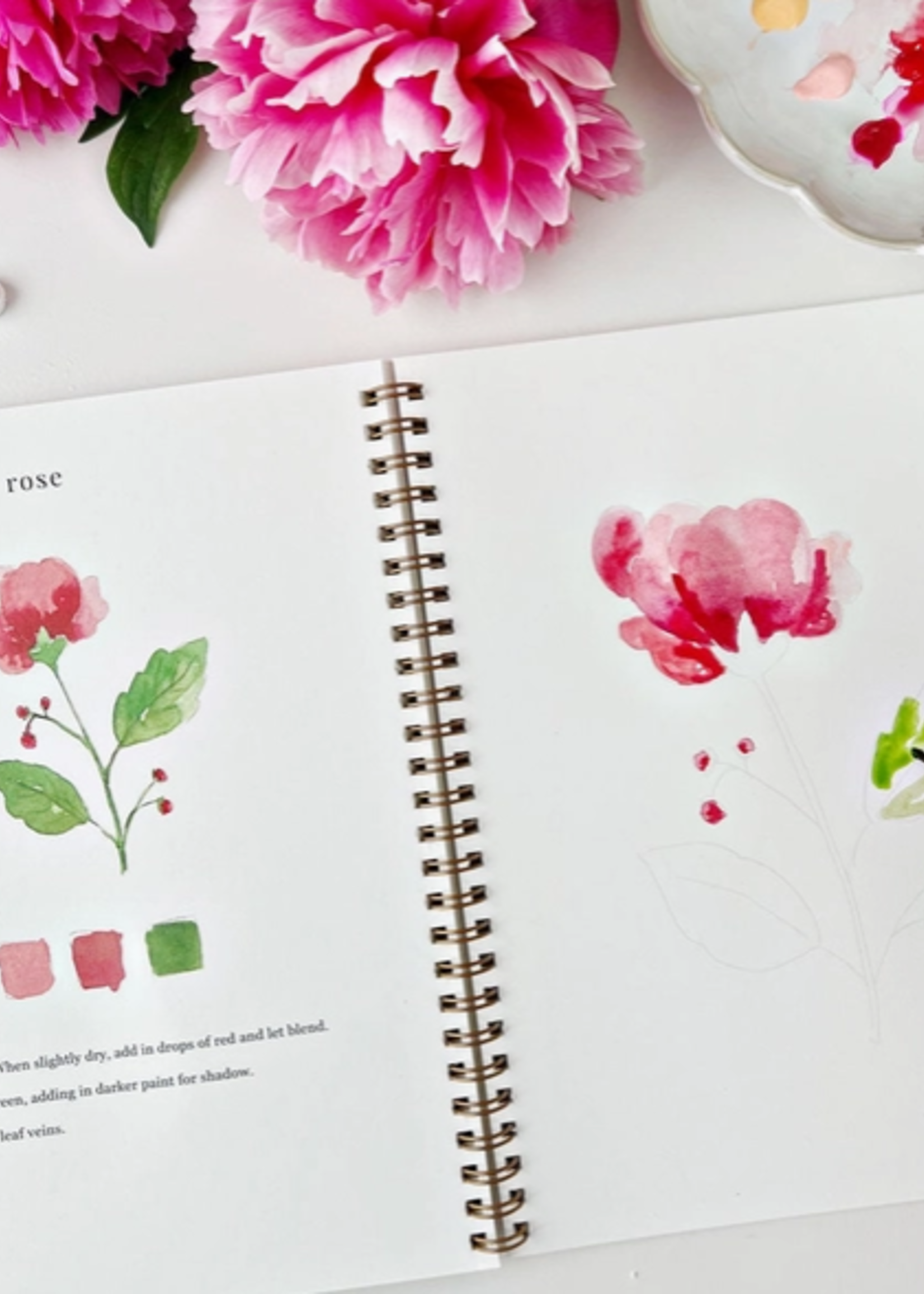 Emily lex studio Emily lex studio flowers watercolor workbook