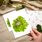 My Muses Card Shop My Muses Card Shop greeting card Lucky Clover card