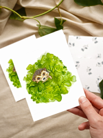 My Muses Card Shop My Muses Card Shop greeting card Lucky Clover card