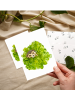 My Muses Card Shop My Muses Card Shop greeting card Lucky Clover card