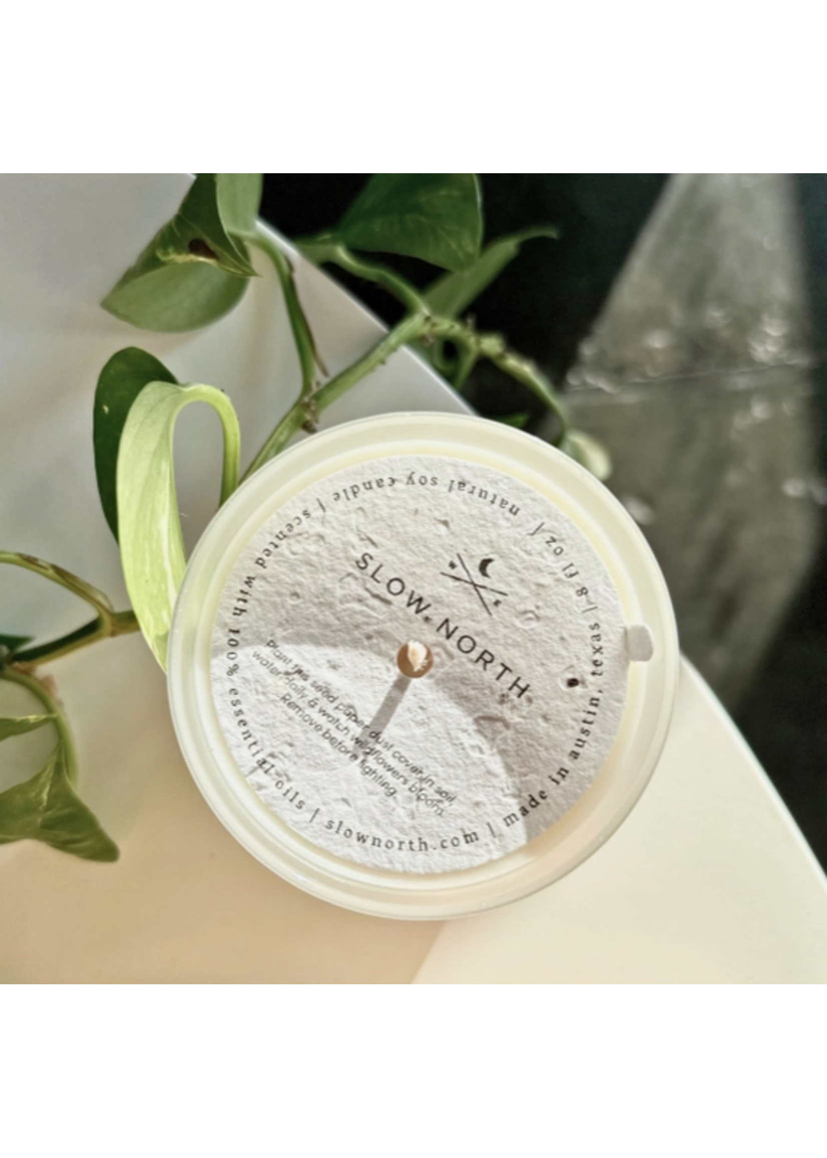 slow north Slow North Geranium + Rose Frosted Candle