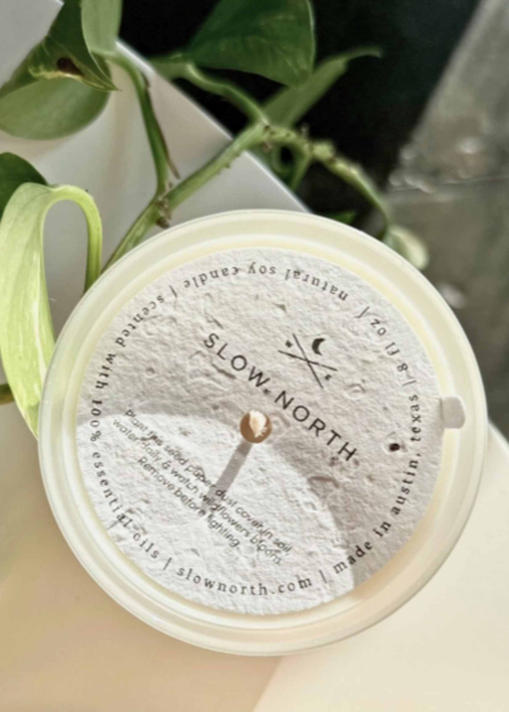 slow north Slow North  Orange + Clove Frosted Candle