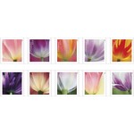 Tulip USPS Stamps