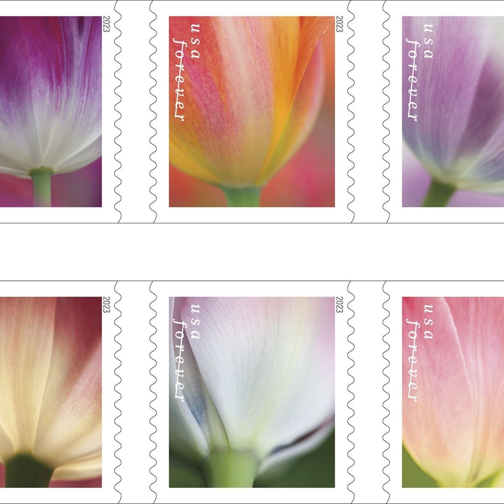 Forever Stamps - Tulip Blossoms USPS Stamps