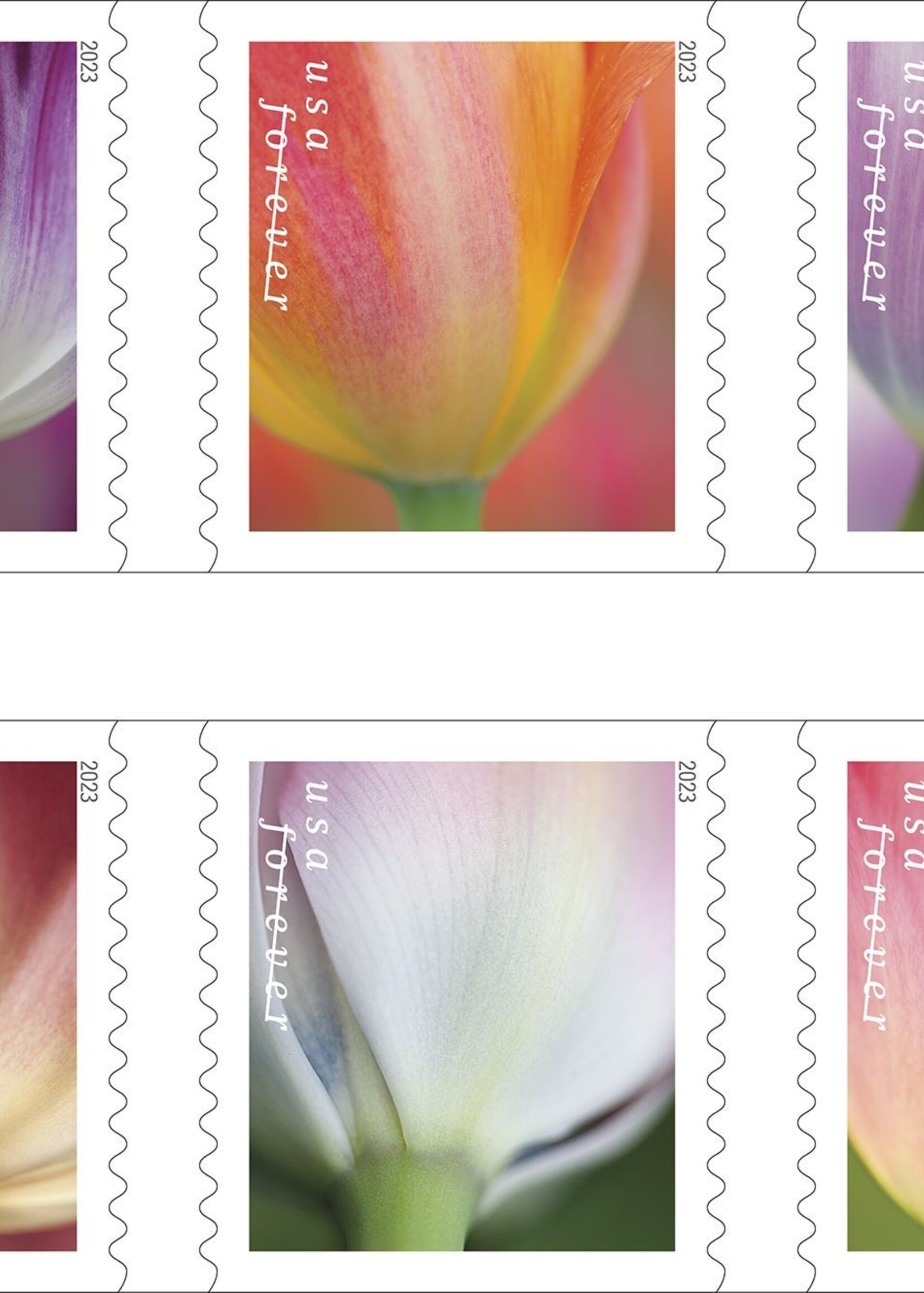 Forever Stamps - Tulip Blossoms USPS Stamps