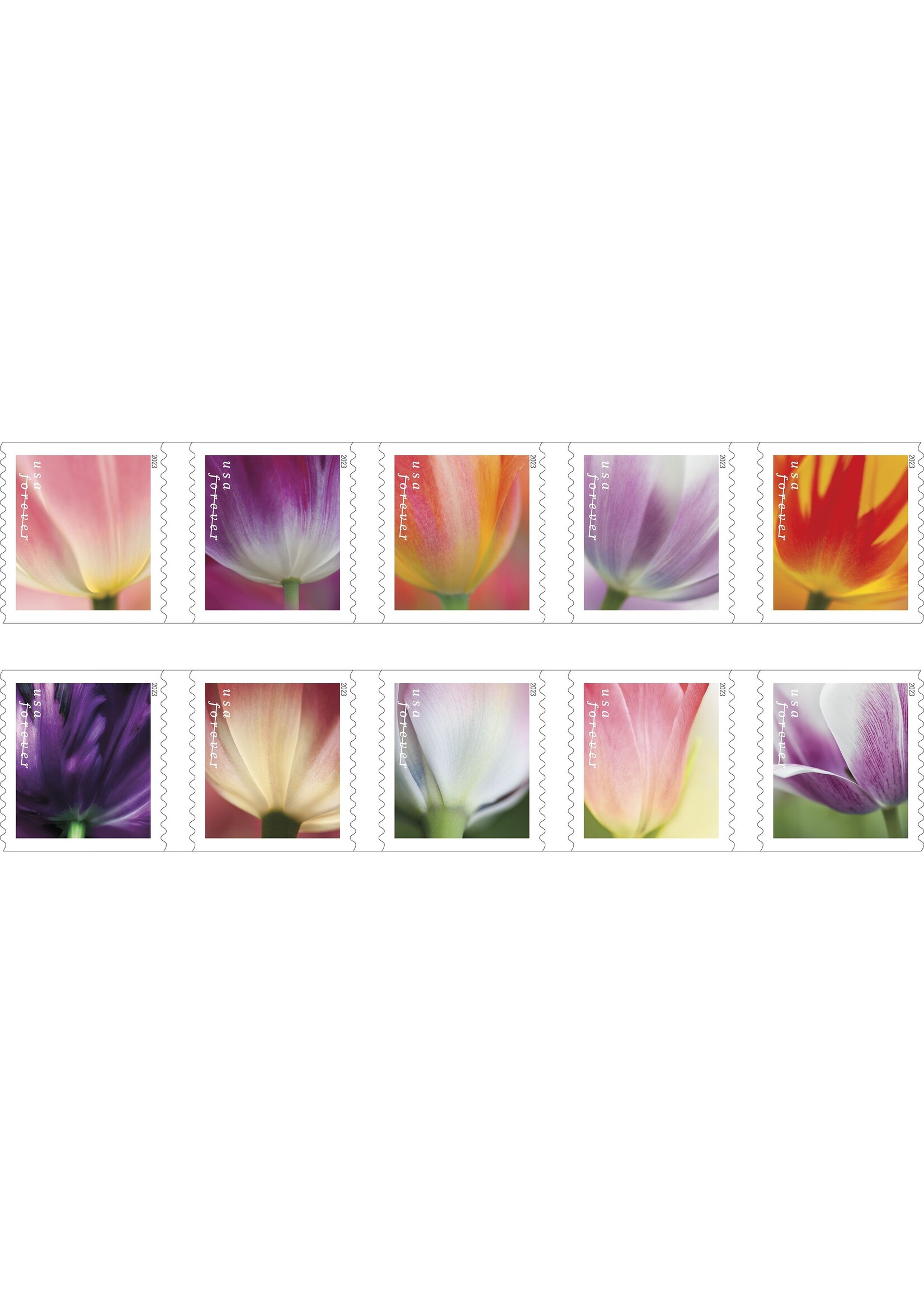 Forever Stamps - Tulip Blossoms USPS Stamps