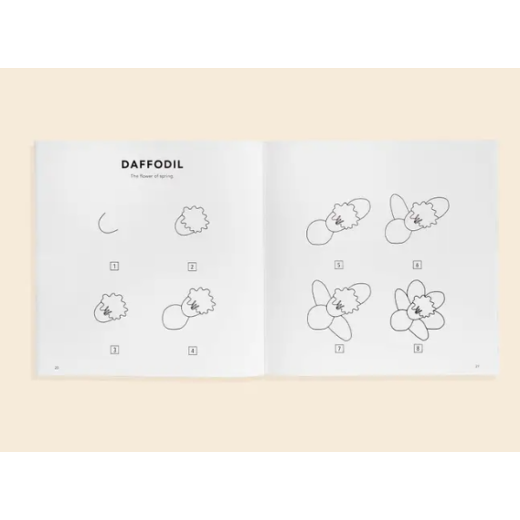 Penguin Random House Paige Tate & Co Modern Flowers: A How to Draw Book for Kids