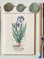 The Bower Studio The Bower Studio plantable seed Blue Flag Iris