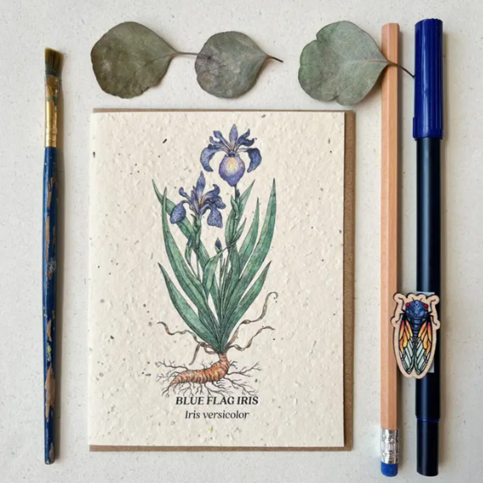 The Bower Studio The Bower Studio plantable seed Blue Flag Iris