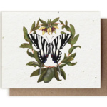 The Bower Studio The Bower Studio plantable seed Zebra Swallowtail Butterfly & PawPaw