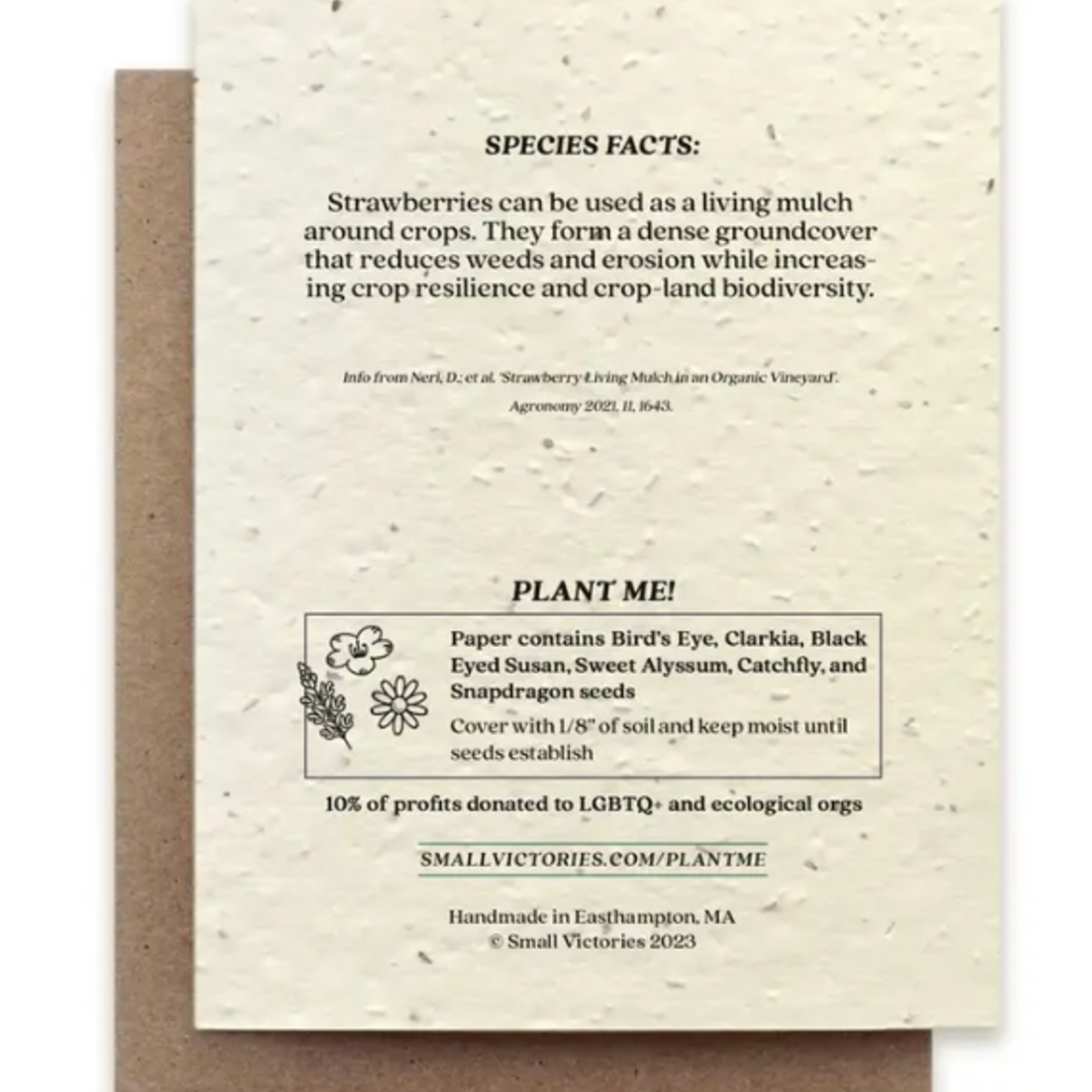 The Bower Studio The Bower Studio plantable seed woodland strawberry