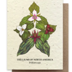 The Bower Studio The Bower Studio Plantable Seed Trillium Compass cards