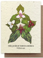 The Bower Studio The Bower Studio Plantable Seed Trillium Compass cards