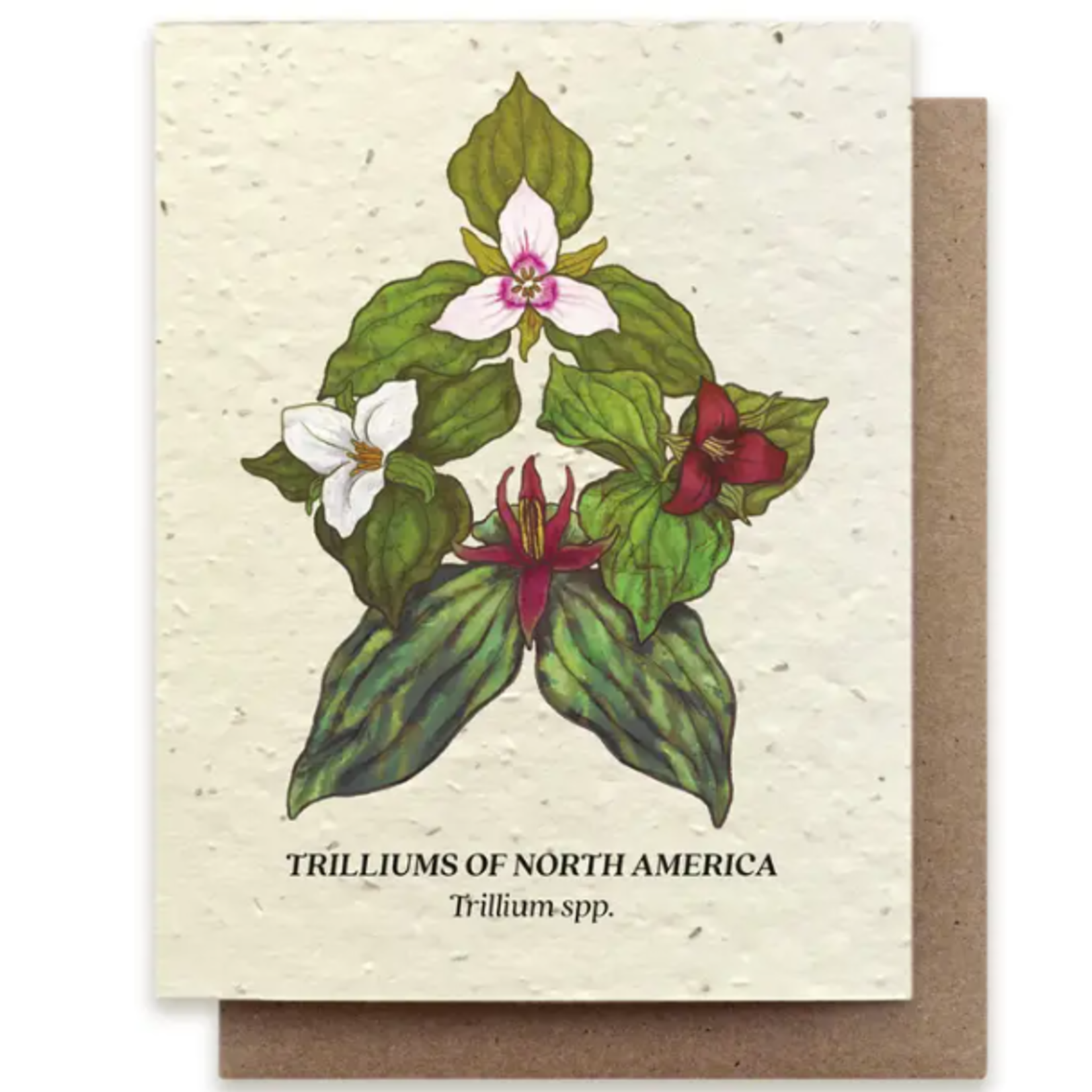 The Bower Studio The Bower Studio Plantable Seed Trillium Compass cards