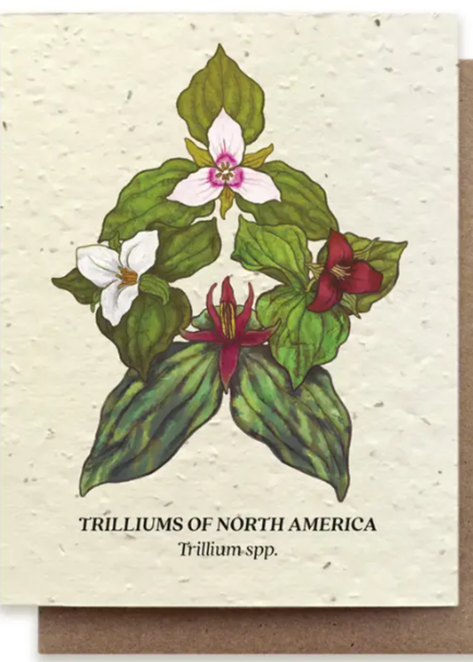 The Bower Studio The Bower Studio Plantable Seed Trillium Compass cards