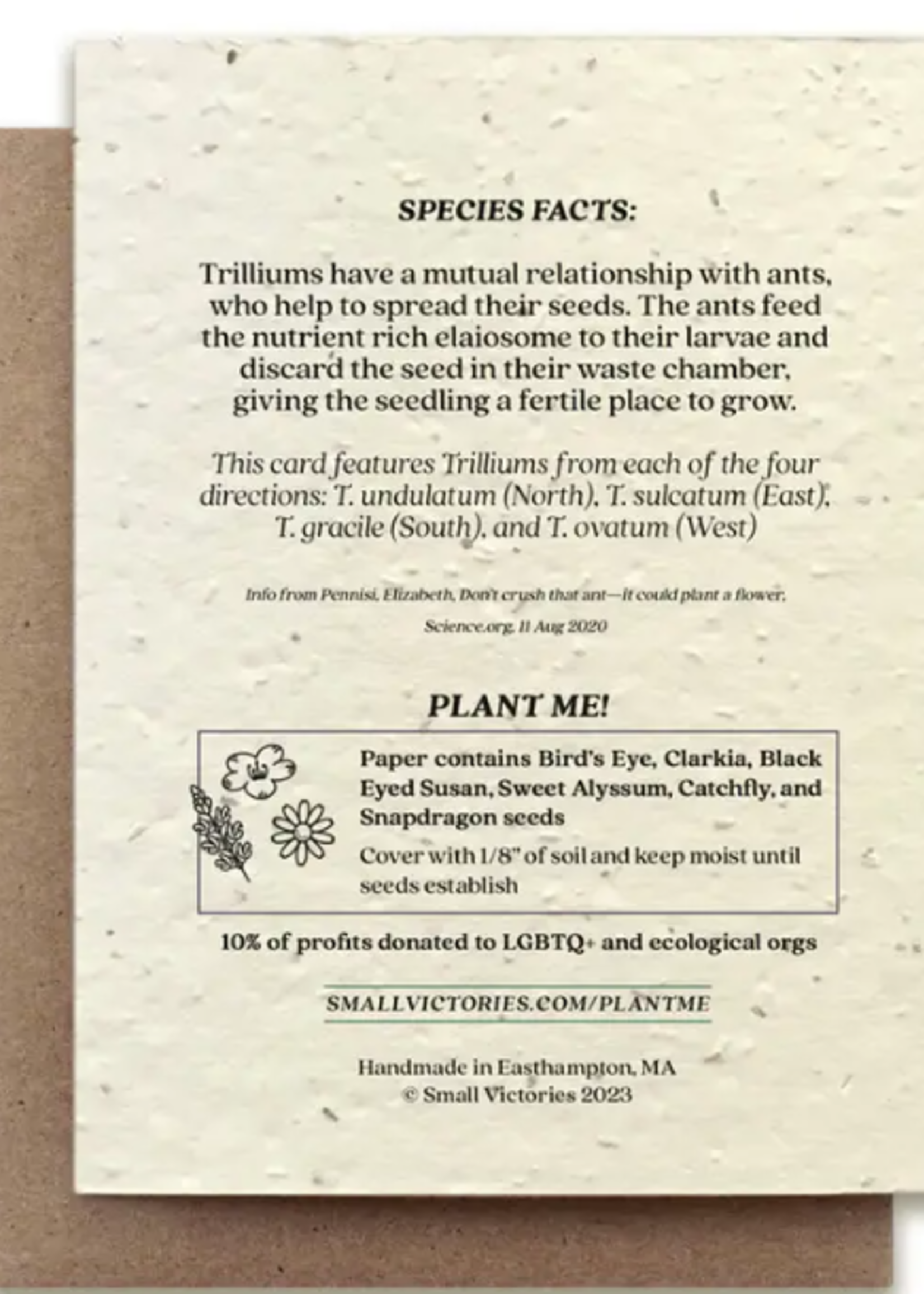 The Bower Studio The Bower Studio Plantable Seed Trillium Compass cards