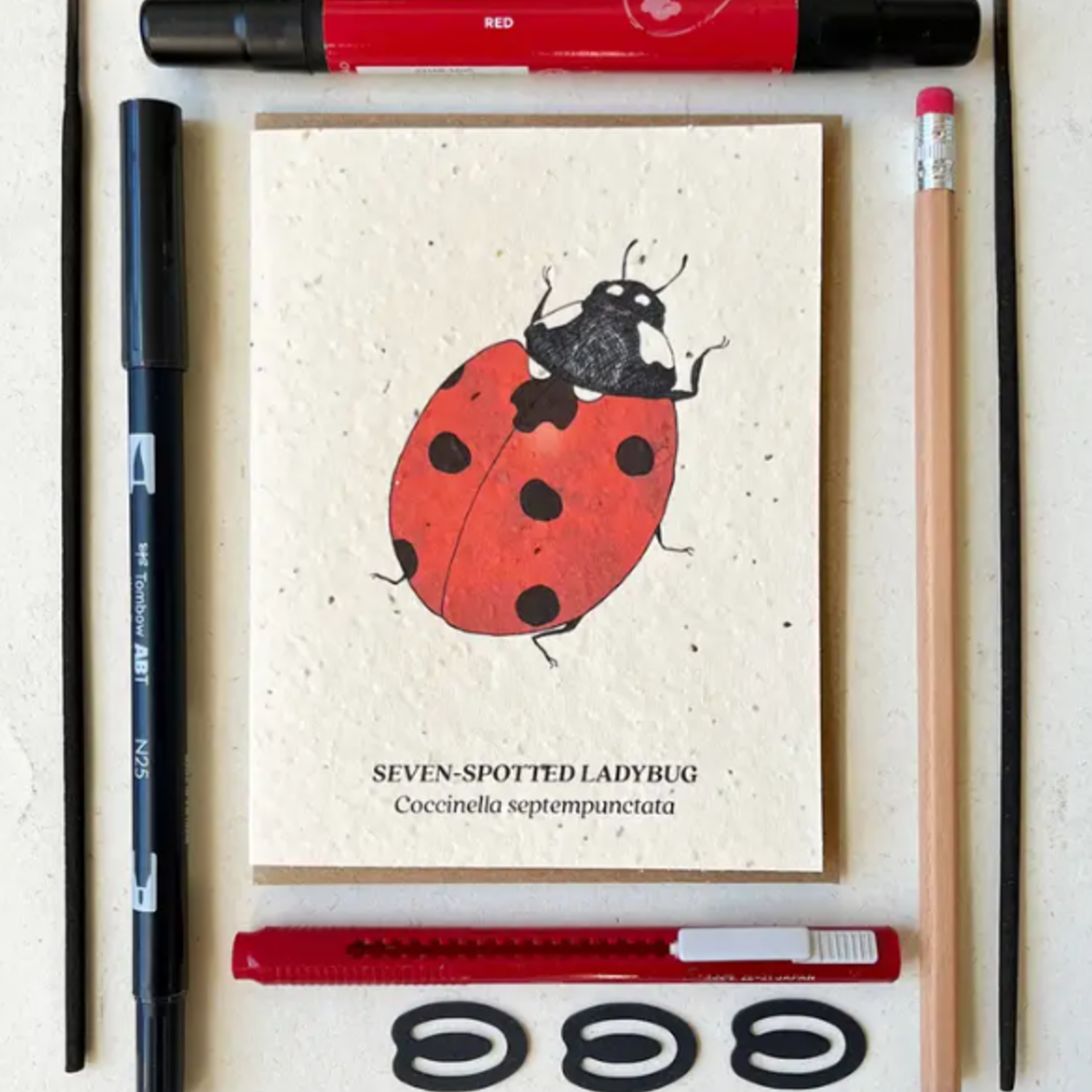 The Bower Studio The Bower Studio plantable seed card Seven-Spotted Ladybug