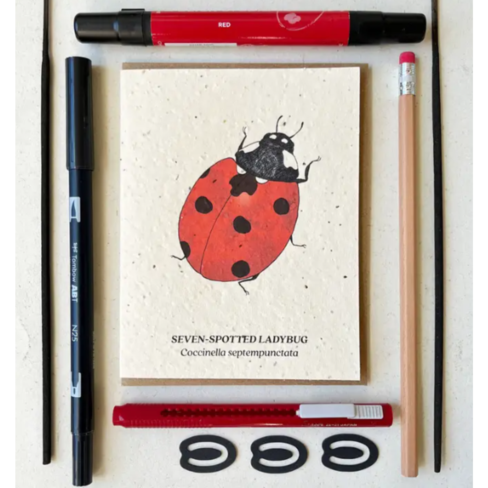 The Bower Studio The Bower Studio plantable seed Seven-Spotted Ladybug