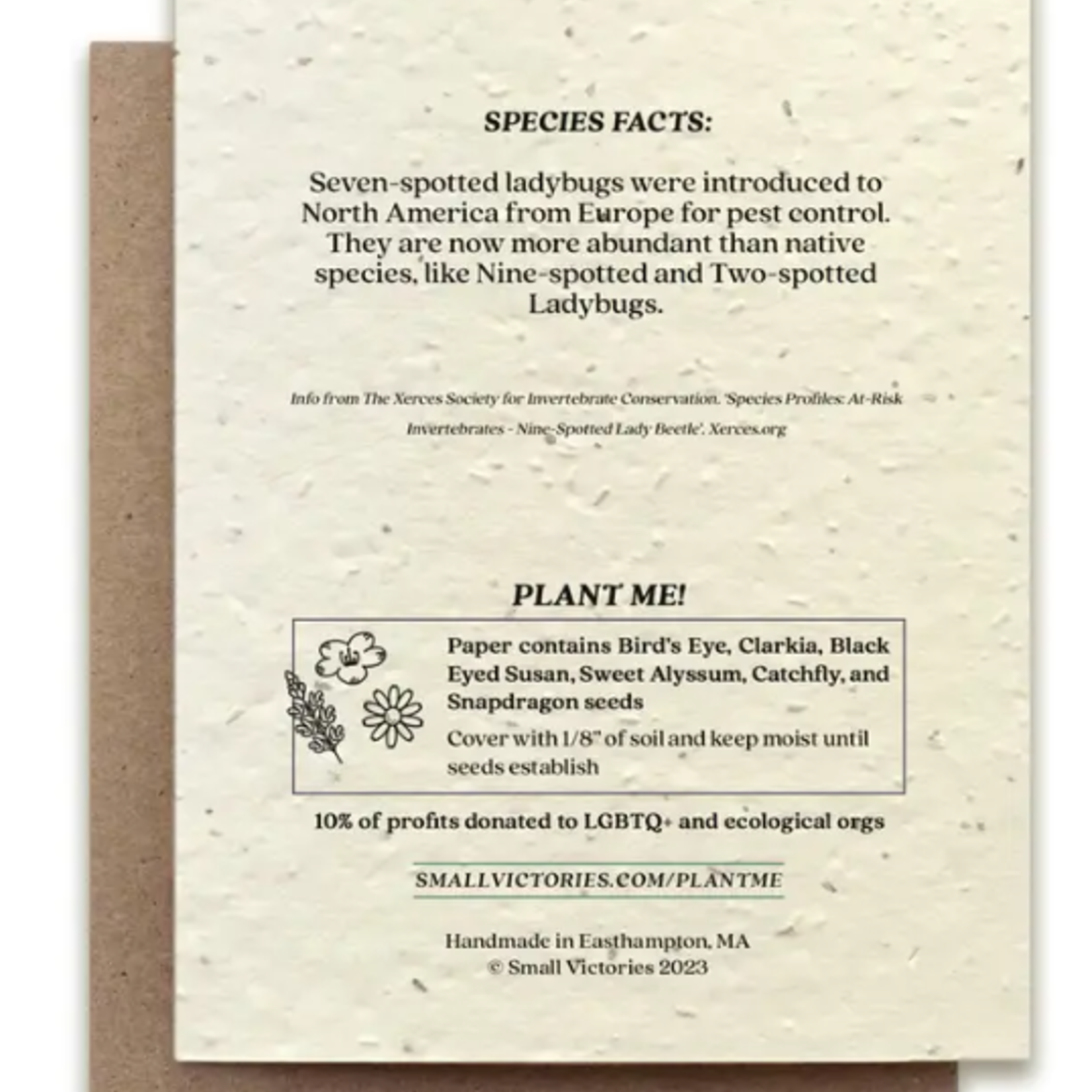 The Bower Studio The Bower Studio plantable seed card Seven-Spotted Ladybug