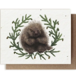 The Bower Studio The Bower Studio plantable seed Porcupine/Hemlock