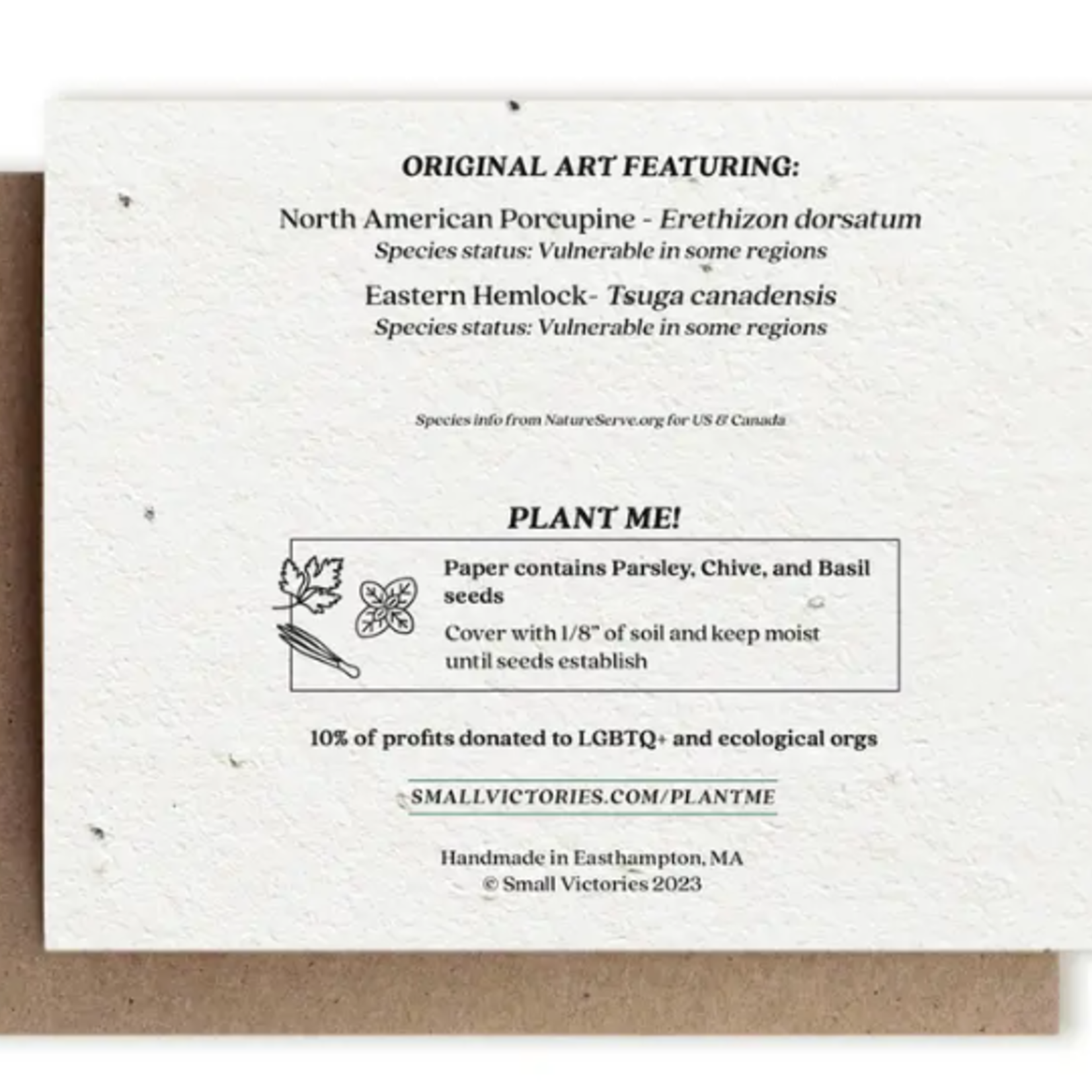 The Bower Studio The Bower Studio plantable seed Porcupine/Hemlock