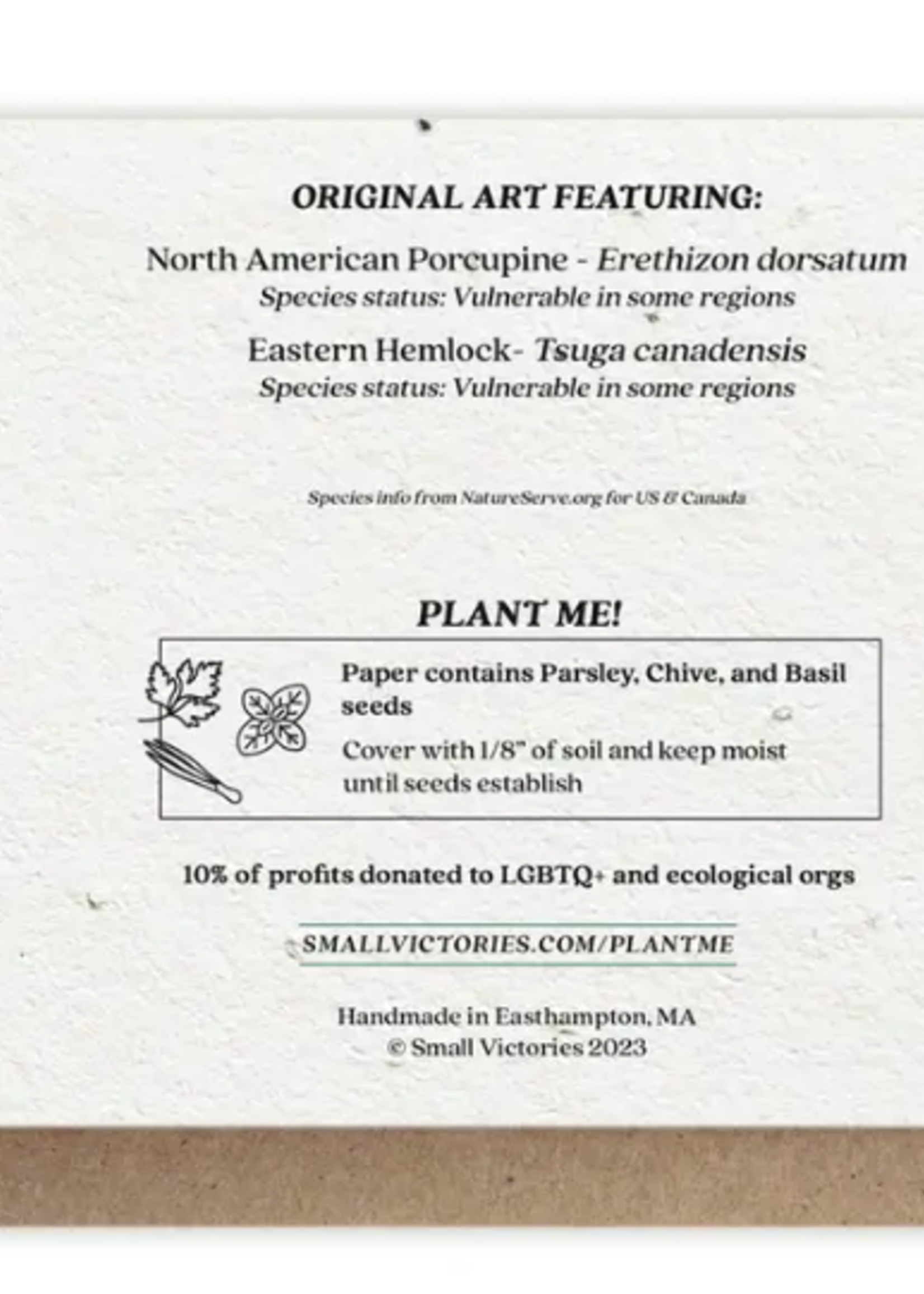 The Bower Studio The Bower Studio plantable seed Porcupine/Hemlock