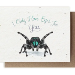 The Bower Studio The Bower Studio plantable seed I only have eyes spider