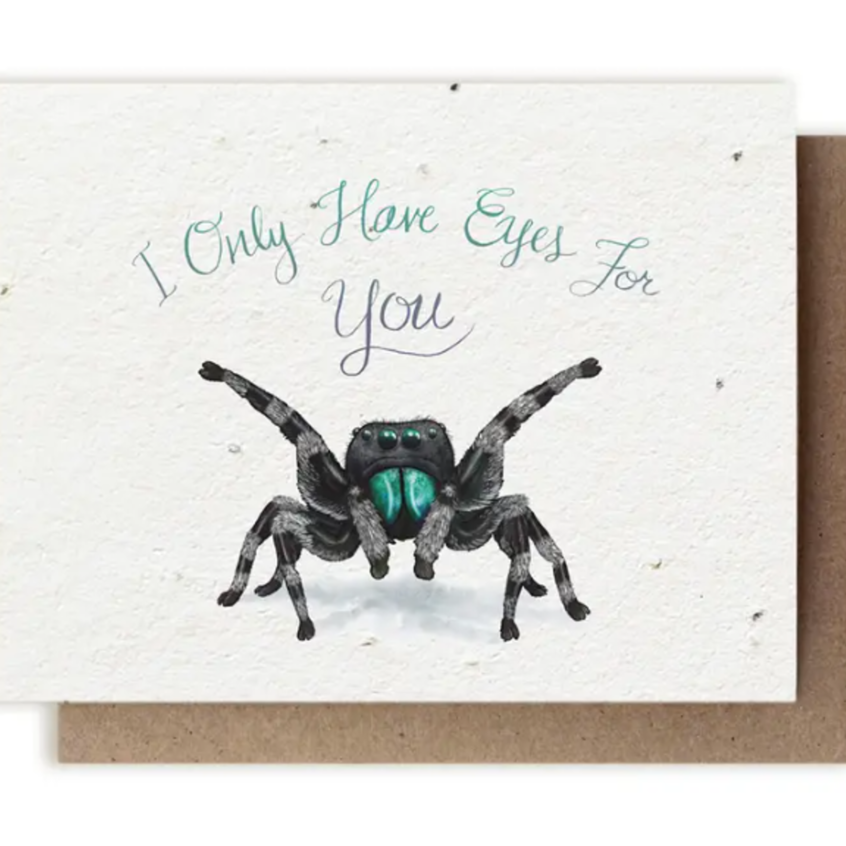 The Bower Studio The Bower Studio plantable seed I only have eyes spider