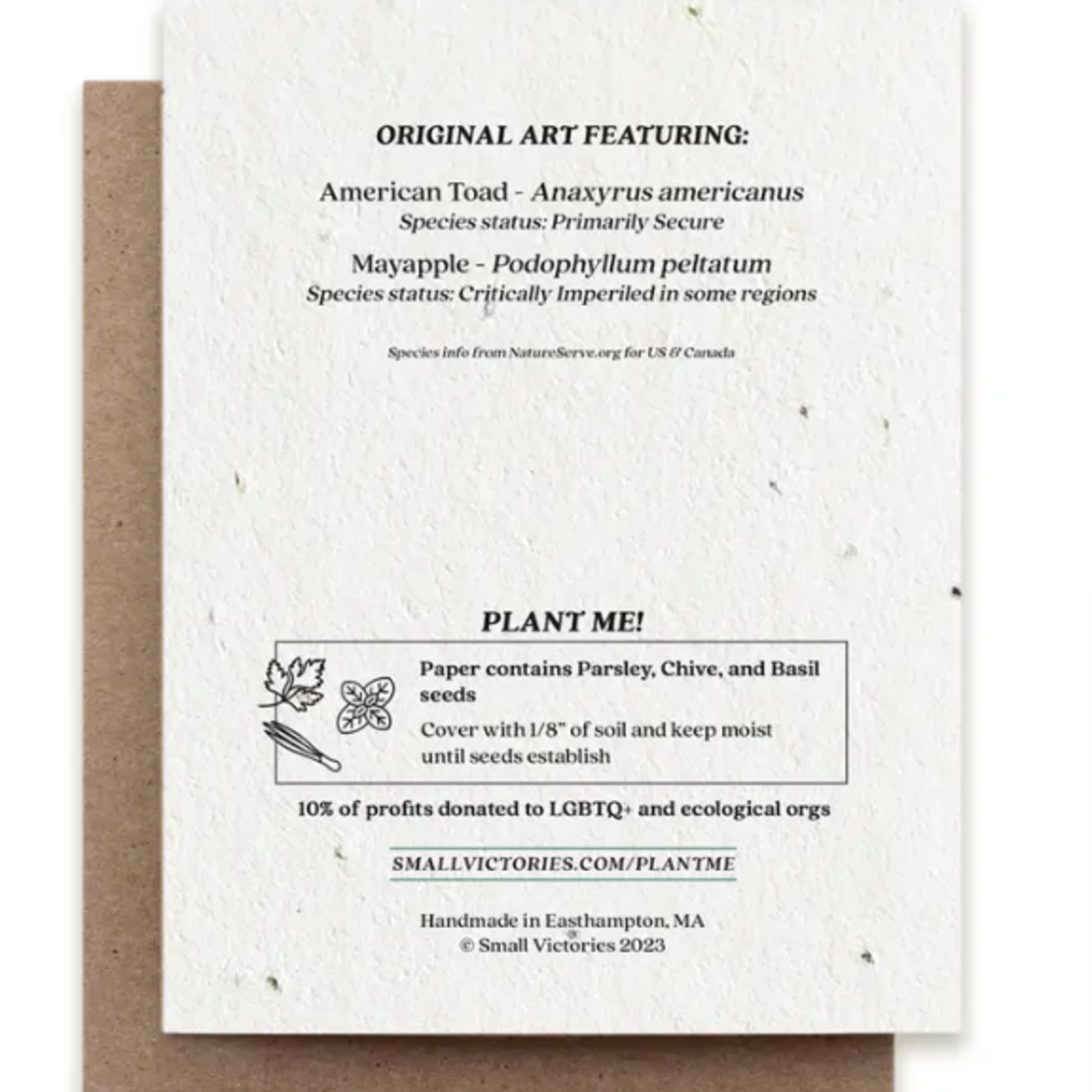 The Bower Studio The Bower Studio plantable seed card Two Toads