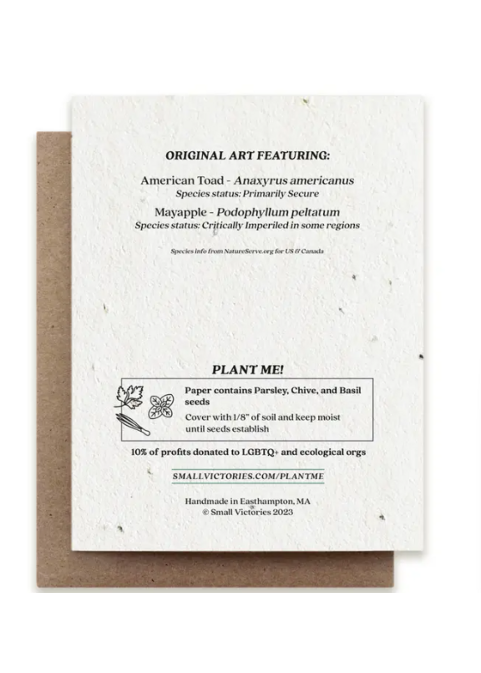 The Bower Studio The Bower Studio plantable seed card Two Toads