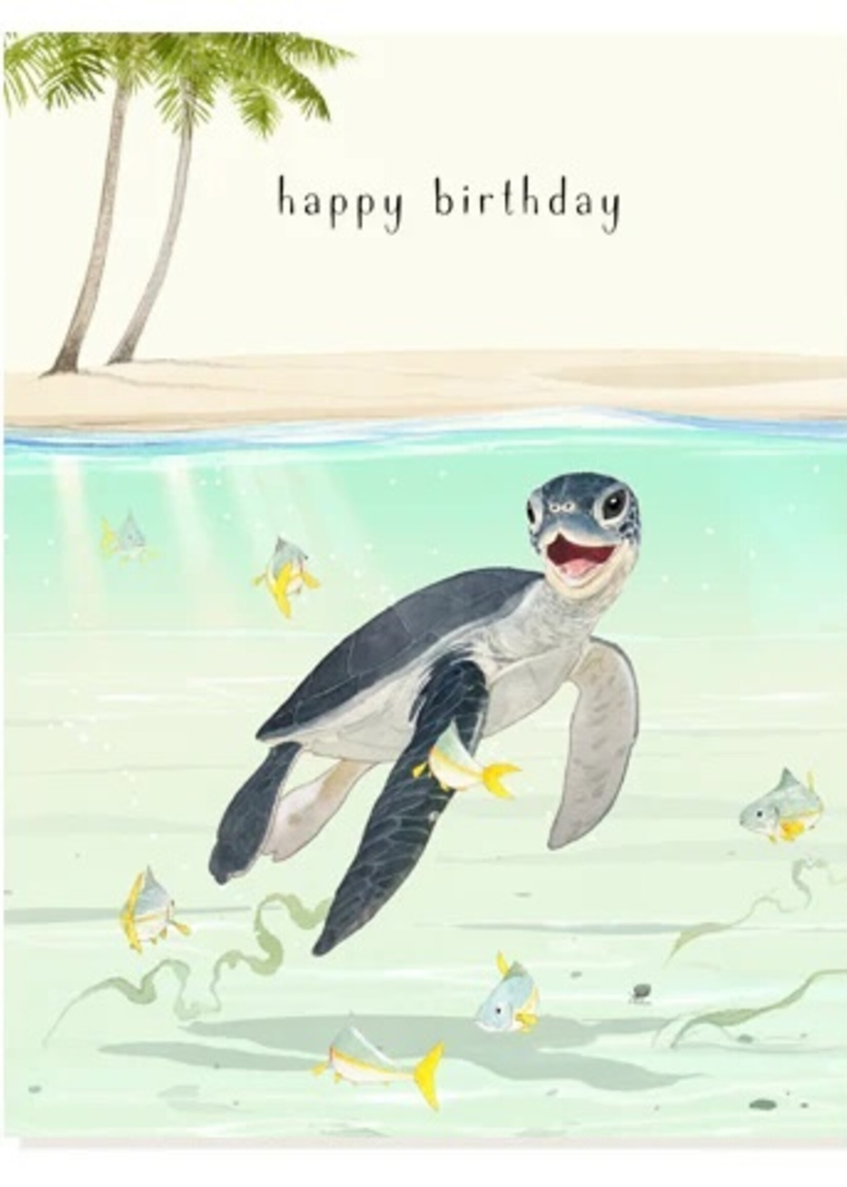 Felix Doolittle Felix Doolittle baby sea turtle Card