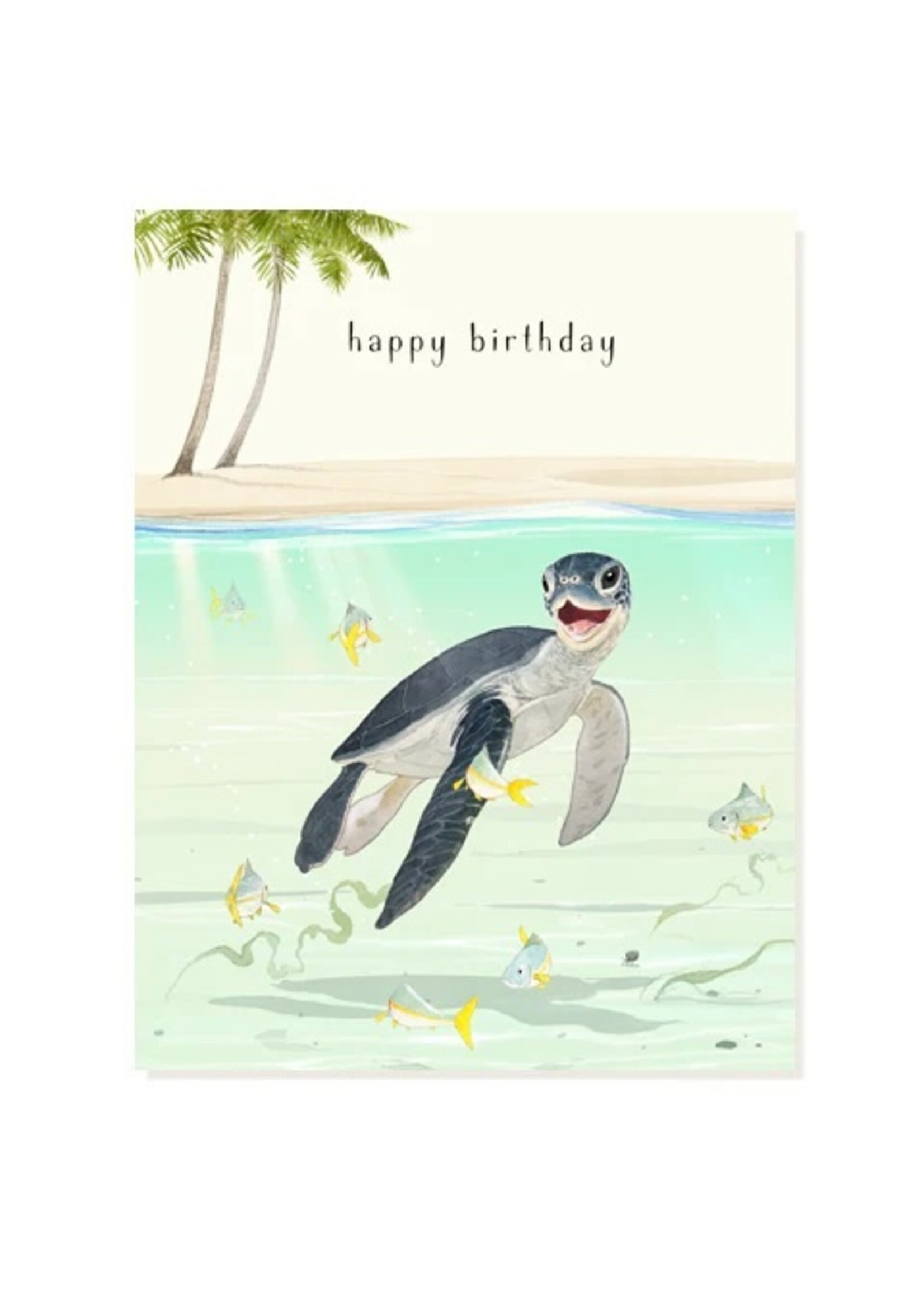 Felix Doolittle Felix Doolittle baby sea turtle Card