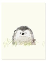 Felix Doolittle Felix Doolittle Lil Hedgie Card