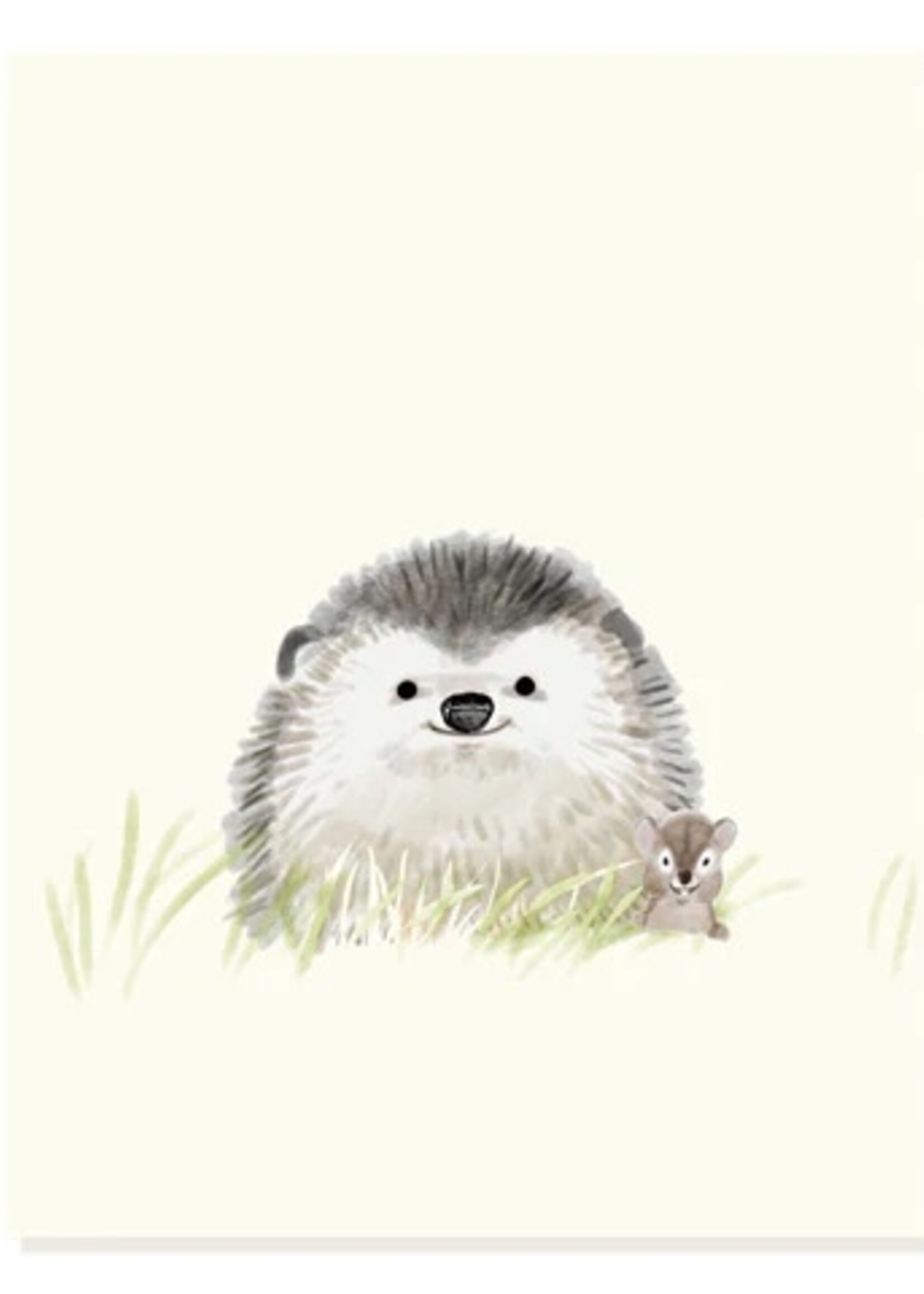 Felix Doolittle Felix Doolittle Lil Hedgie Card