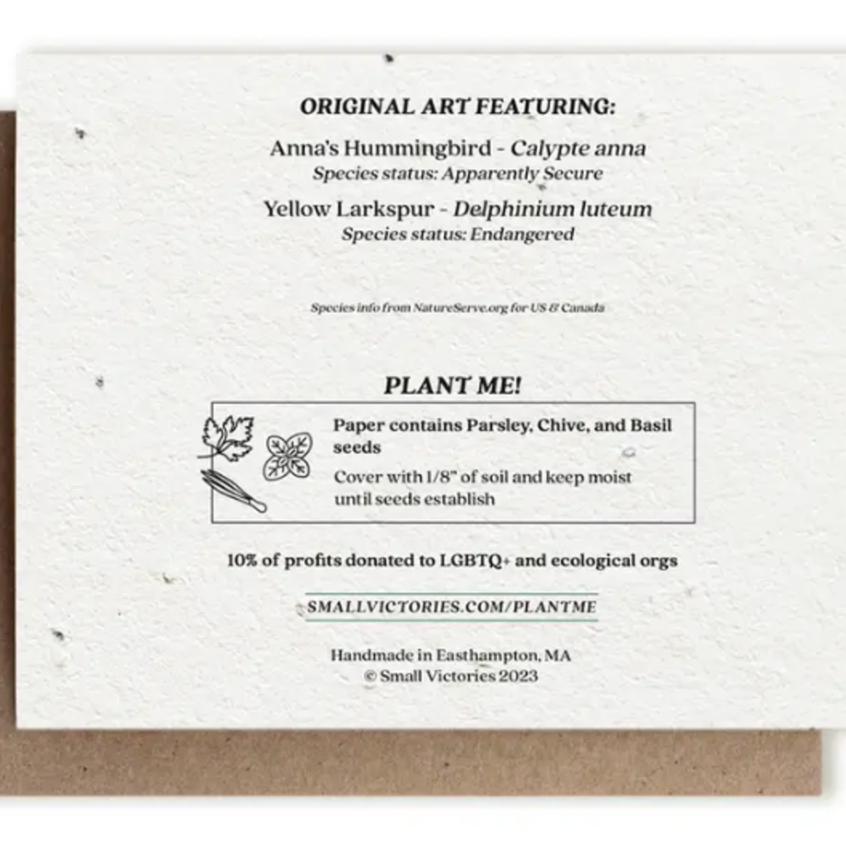 The Bower Studio The Bower Studio plantable seed Hummingbird and Larkspur