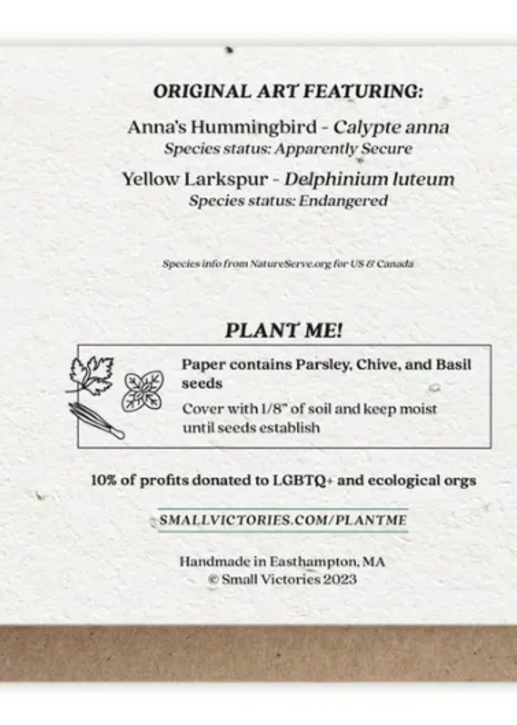 The Bower Studio The Bower Studio plantable seed Hummingbird and Larkspur