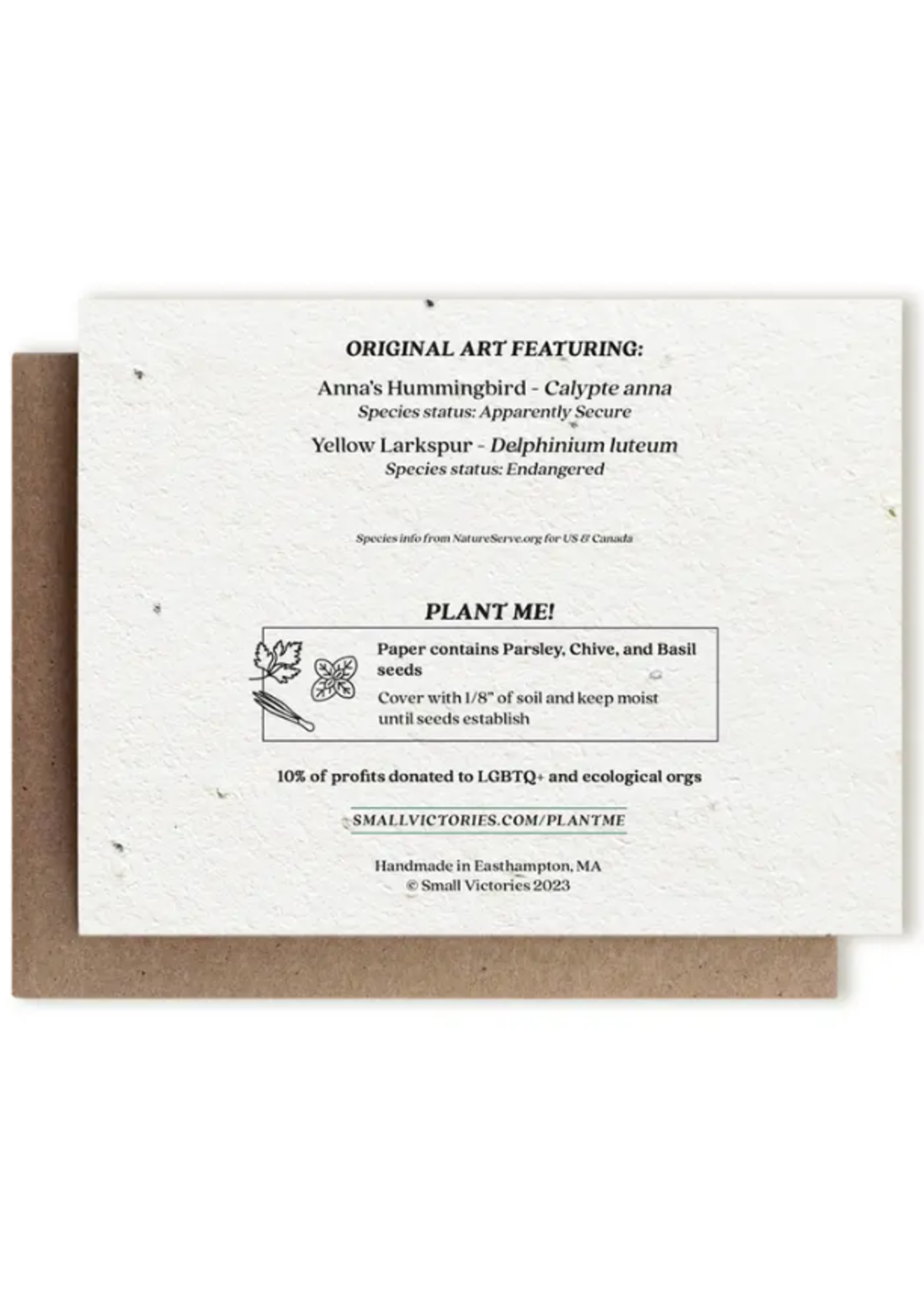 The Bower Studio The Bower Studio plantable seed Hummingbird and Larkspur