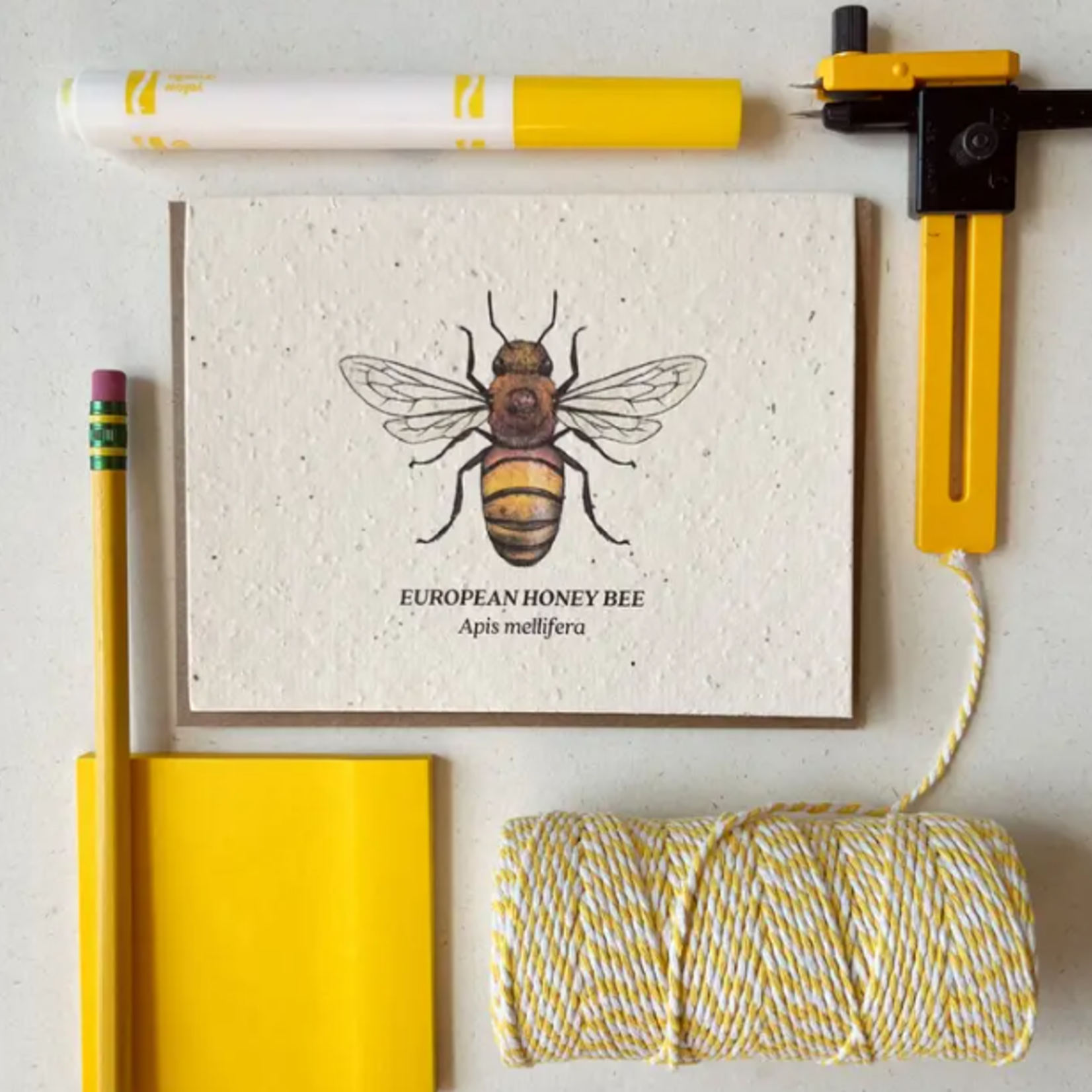 The Bower Studio The Bower Studio plantable seed honey bee